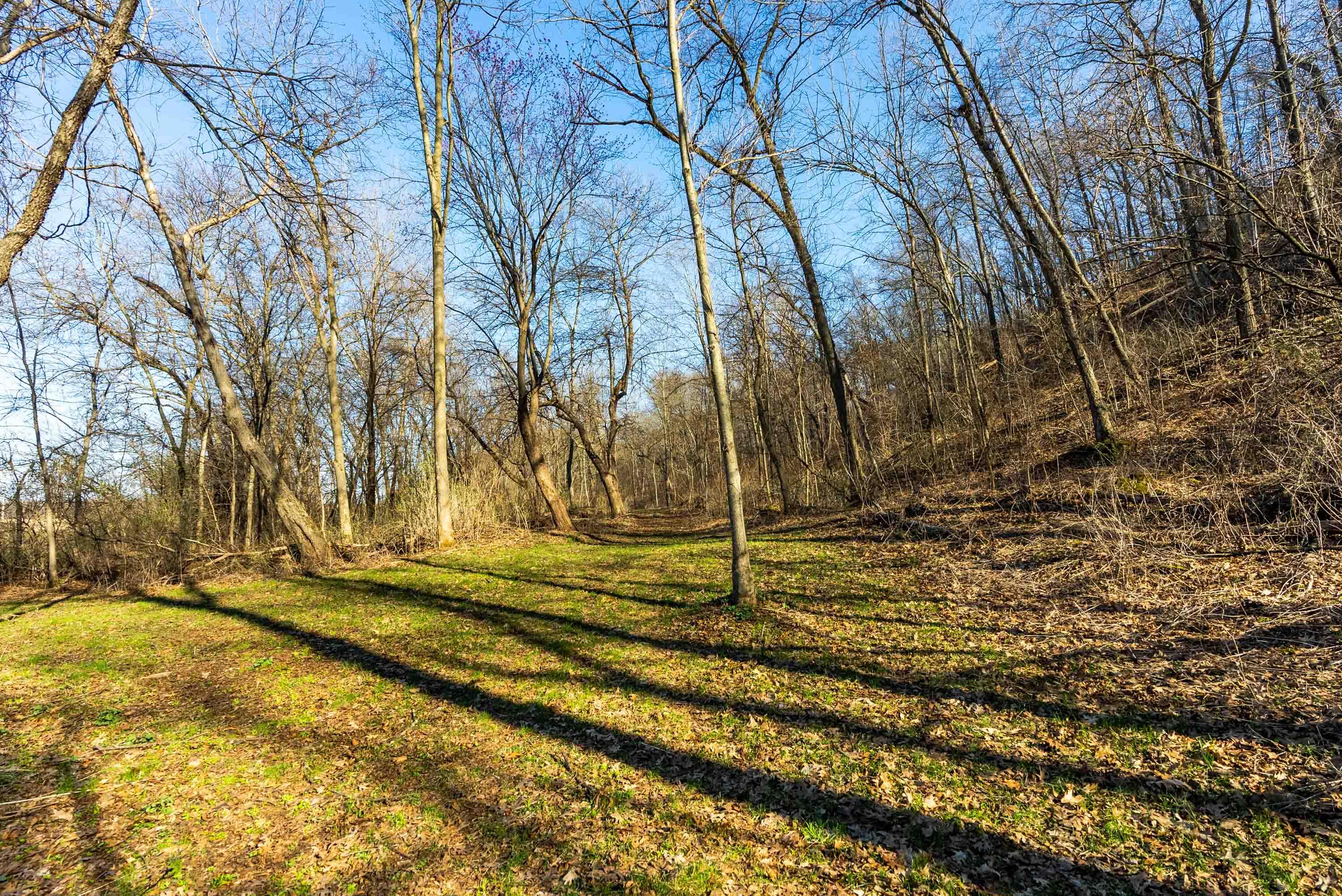 Lt0 Lt0 County Road Spring Green, WI 53588 - Photo 13 of 68 Iowa-County-WI-40-Acres-Land-For-Sale-13