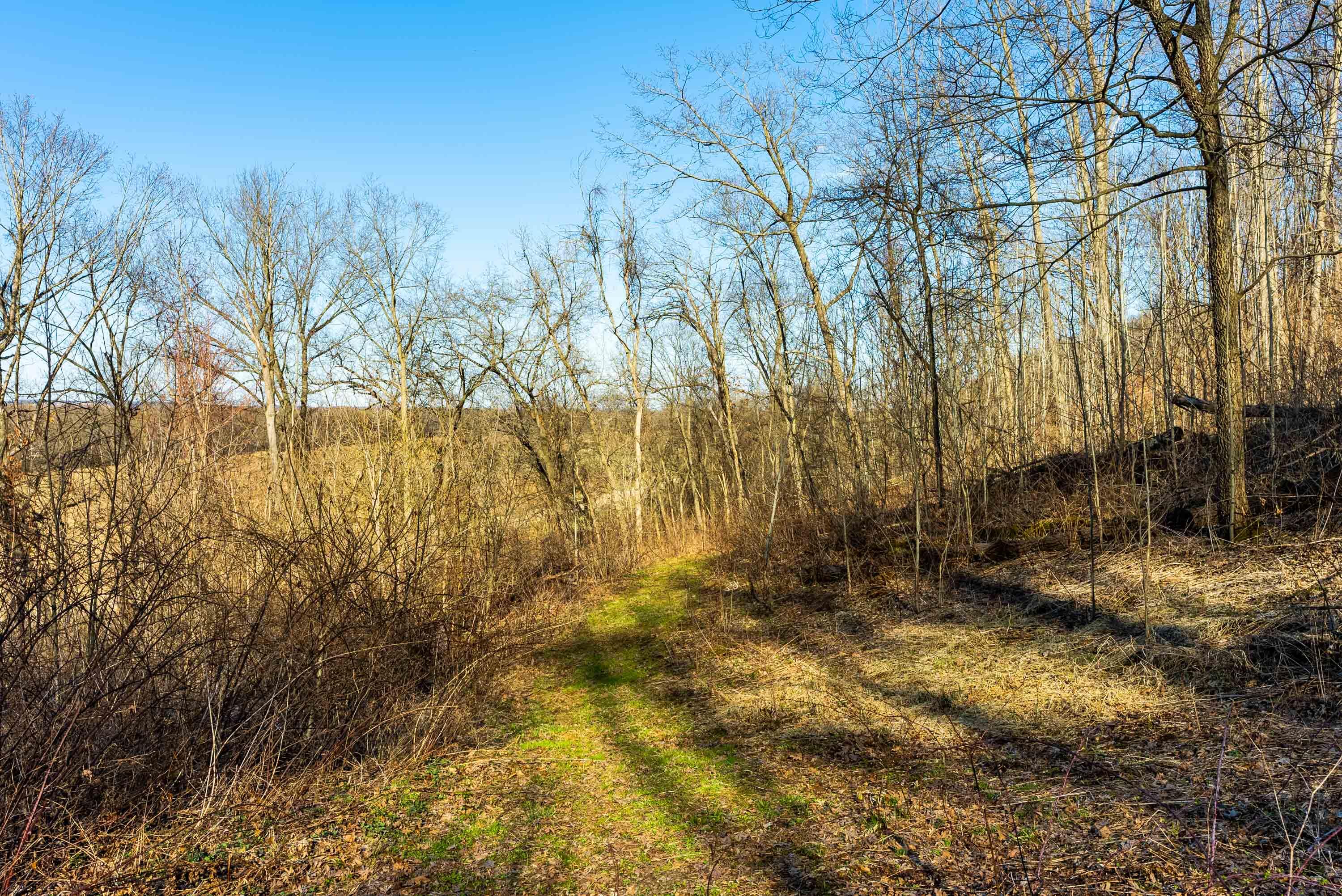 Lt0 Lt0 County Road Spring Green, WI 53588 - Photo 14 of 68 Iowa-County-WI-40-Acres-Land-For-Sale-14
