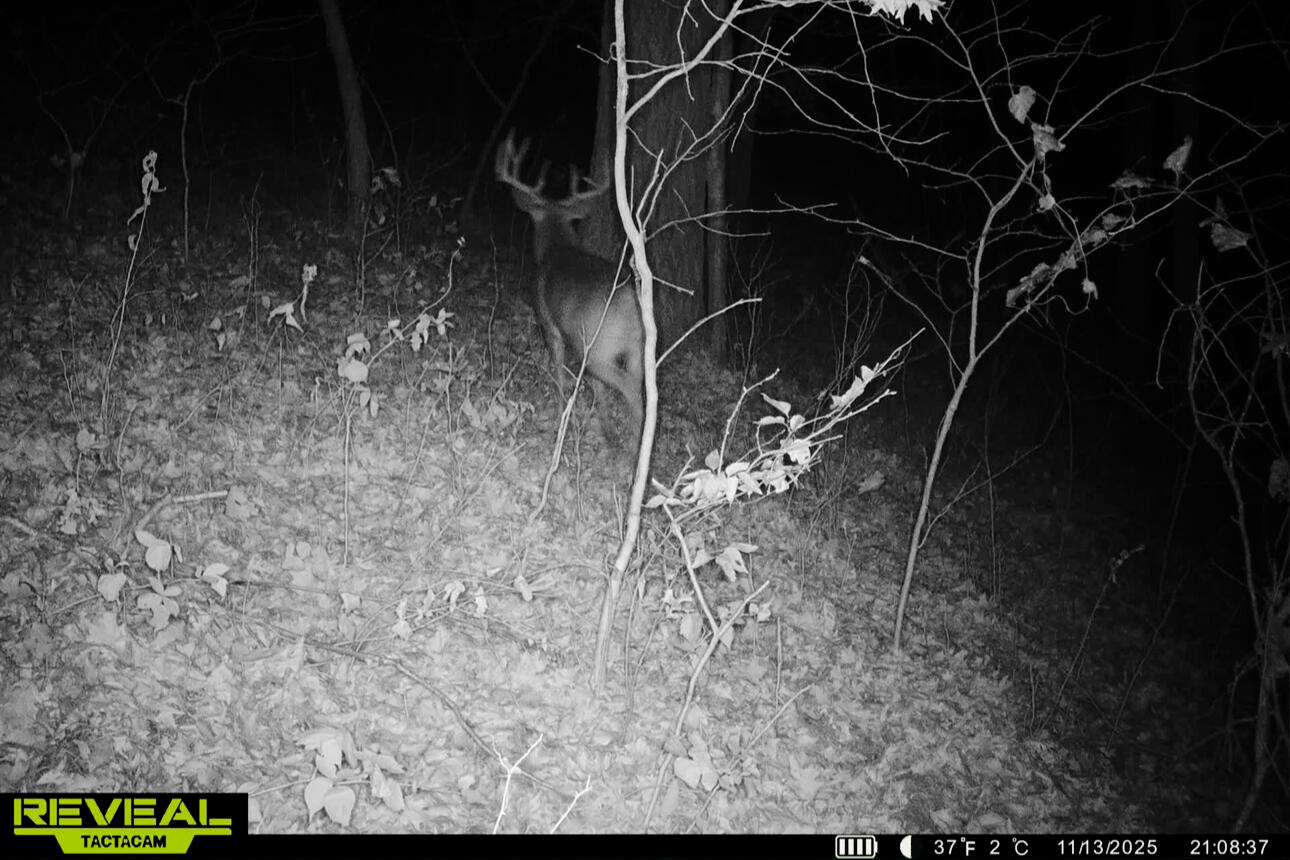 Lt0 Lt0 County Road Spring Green, WI 53588 - Photo 17 of 68 Iowa-County-WI-40-Acres-Land-For-Sale-17