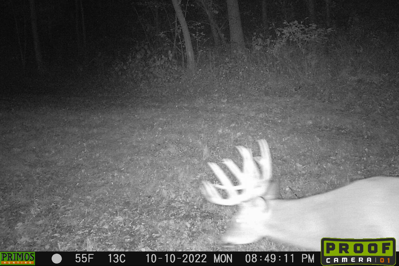 Lt0 Lt0 County Road Spring Green, WI 53588 - Photo 18 of 68 Iowa-County-WI-40-Acres-Land-For-Sale-18