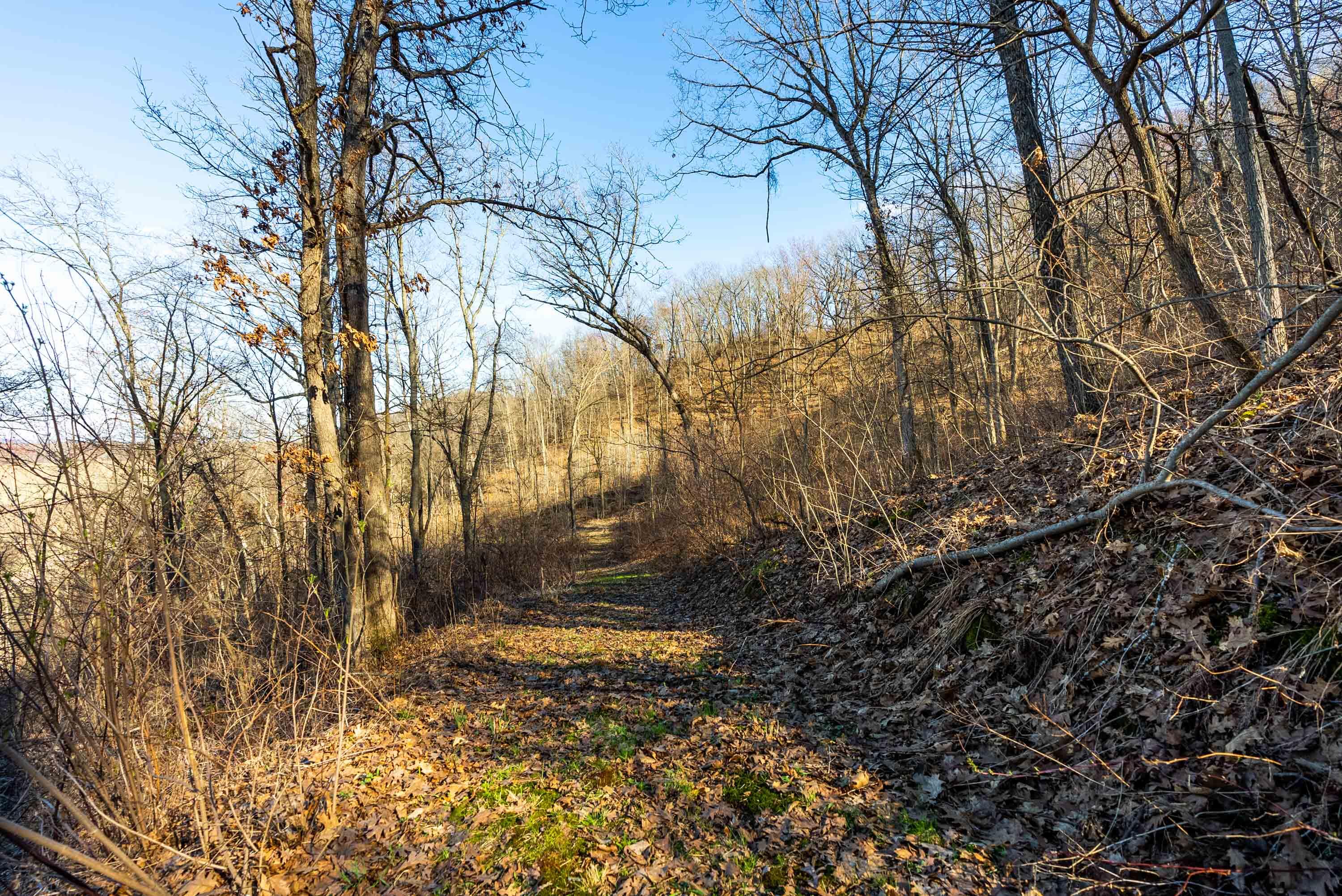 Lt0 Lt0 County Road Spring Green, WI 53588 - Photo 20 of 68 Iowa-County-WI-40-Acres-Land-For-Sale-20