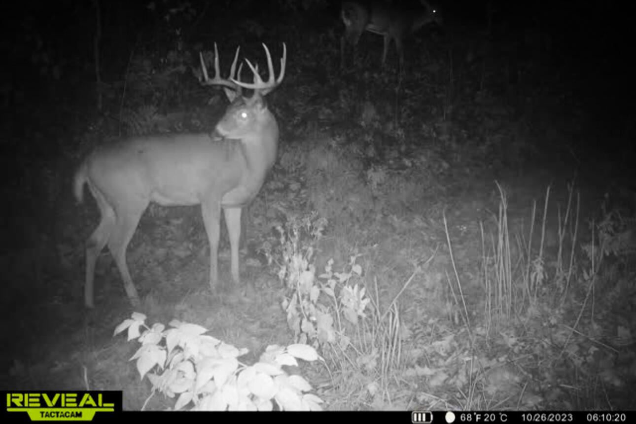 Lt0 Lt0 County Road Spring Green, WI 53588 - Photo 2 of 68 Iowa-County-WI-40-Acres-Land-For-Sale-3