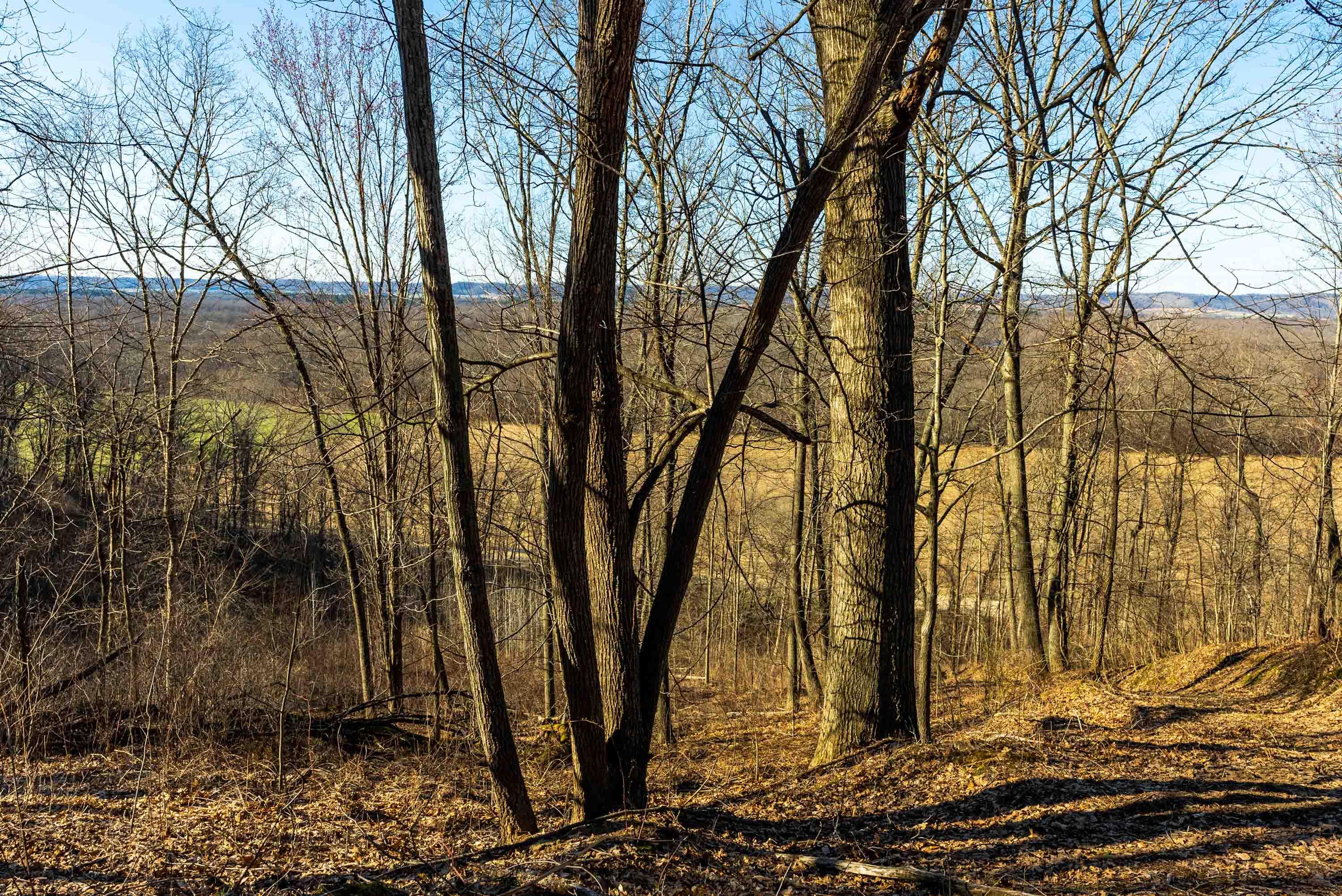Lt0 Lt0 County Road Spring Green, WI 53588 - Photo 21 of 68 Iowa-County-WI-40-Acres-Land-For-Sale-21