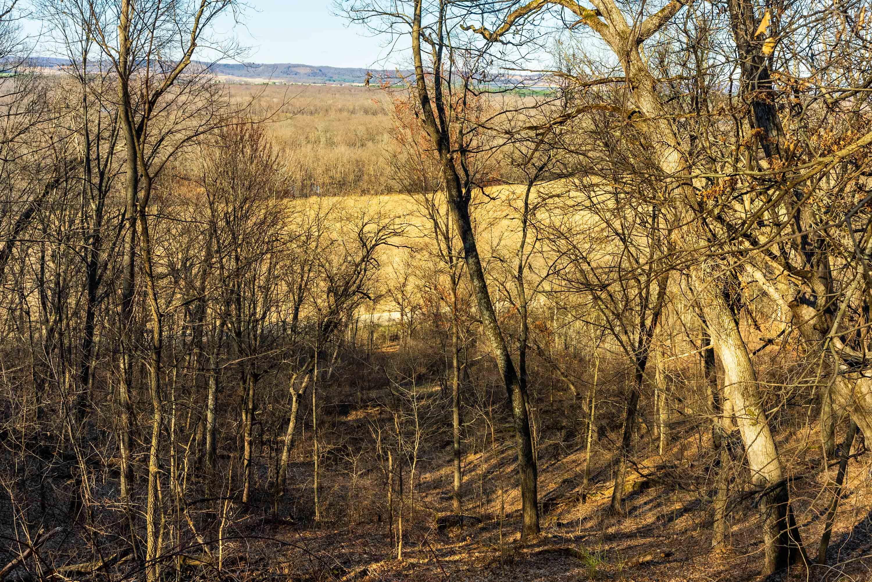 Lt0 Lt0 County Road Spring Green, WI 53588 - Photo 22 of 68 Iowa-County-WI-40-Acres-Land-For-Sale-22