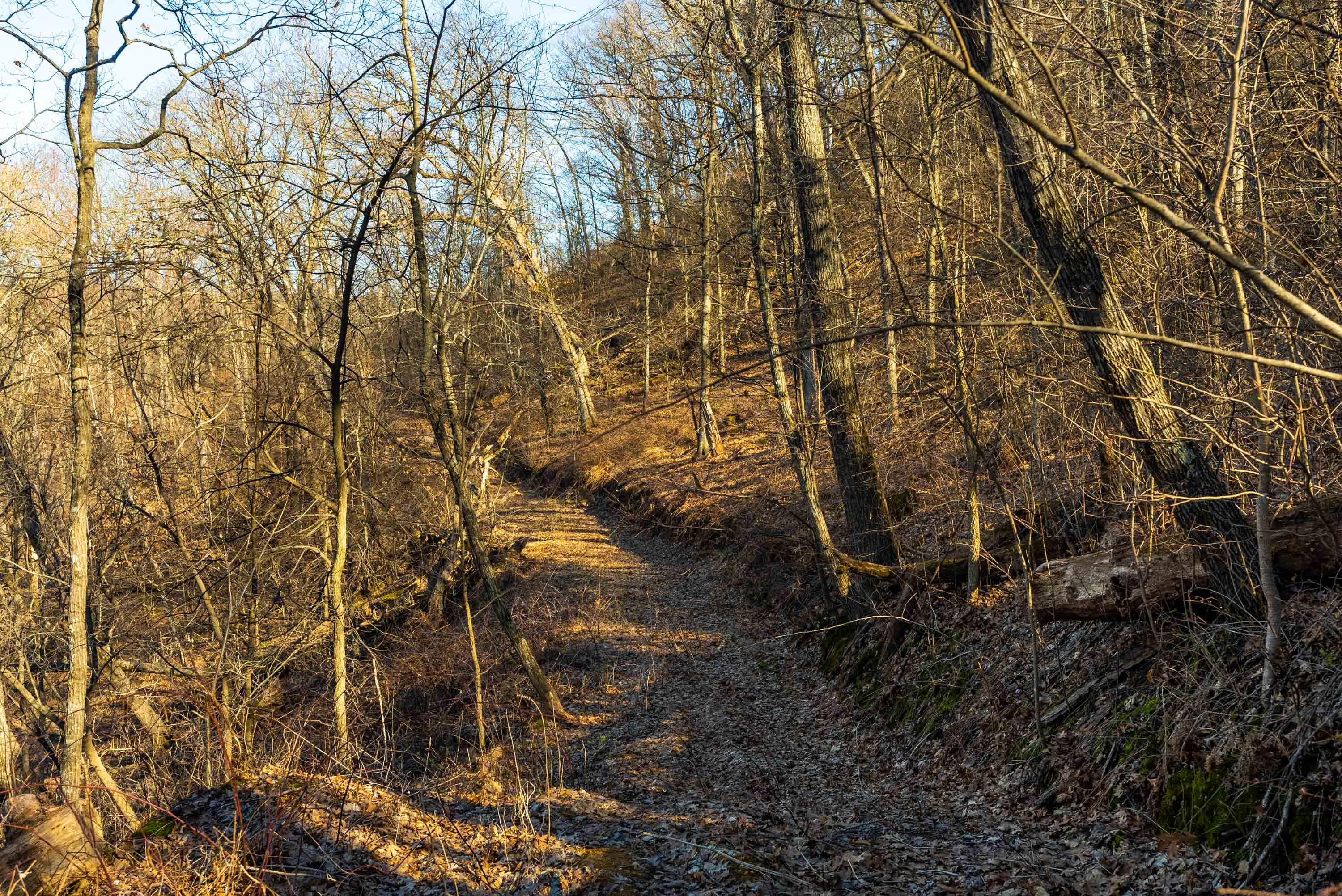 Lt0 Lt0 County Road Spring Green, WI 53588 - Photo 23 of 68 Iowa-County-WI-40-Acres-Land-For-Sale-23