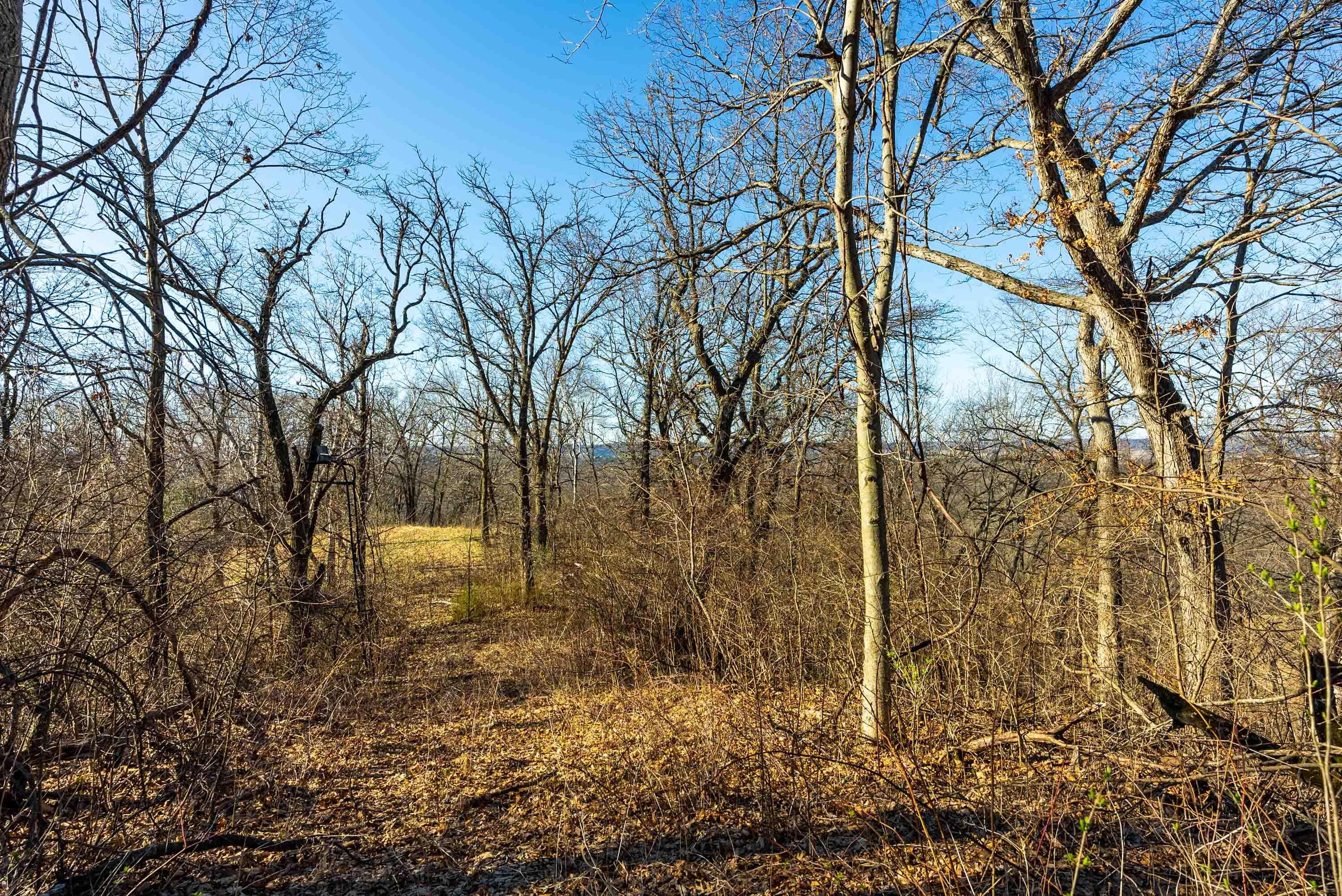 Lt0 Lt0 County Road Spring Green, WI 53588 - Photo 24 of 68 Iowa-County-WI-40-Acres-Land-For-Sale-24