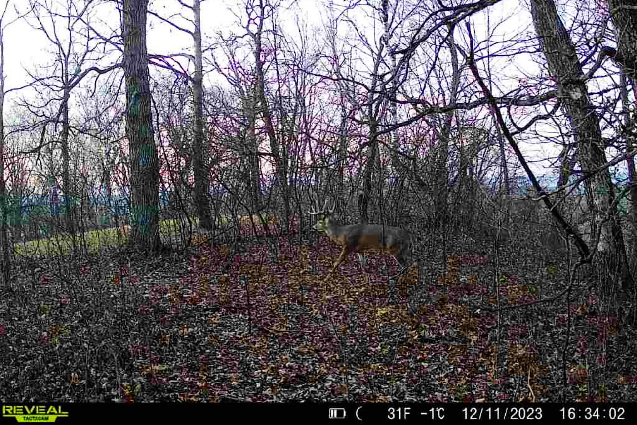 Lt0 Lt0 County Road Spring Green, WI 53588 - Photo 25 of 68 Iowa-County-WI-40-Acres-Land-For-Sale-25