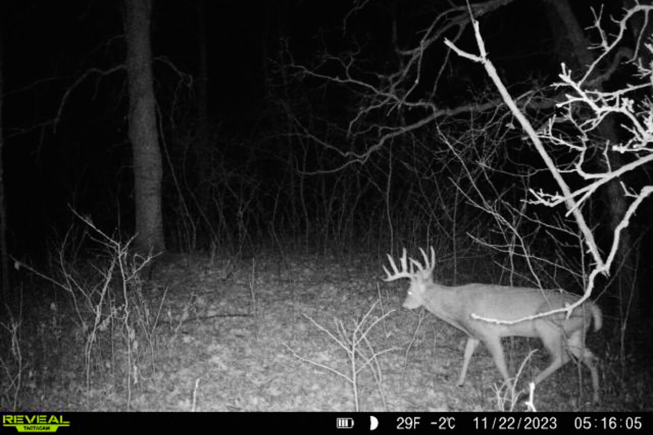 Lt0 Lt0 County Road Spring Green, WI 53588 - Photo 26 of 68 Iowa-County-WI-40-Acres-Land-For-Sale-26