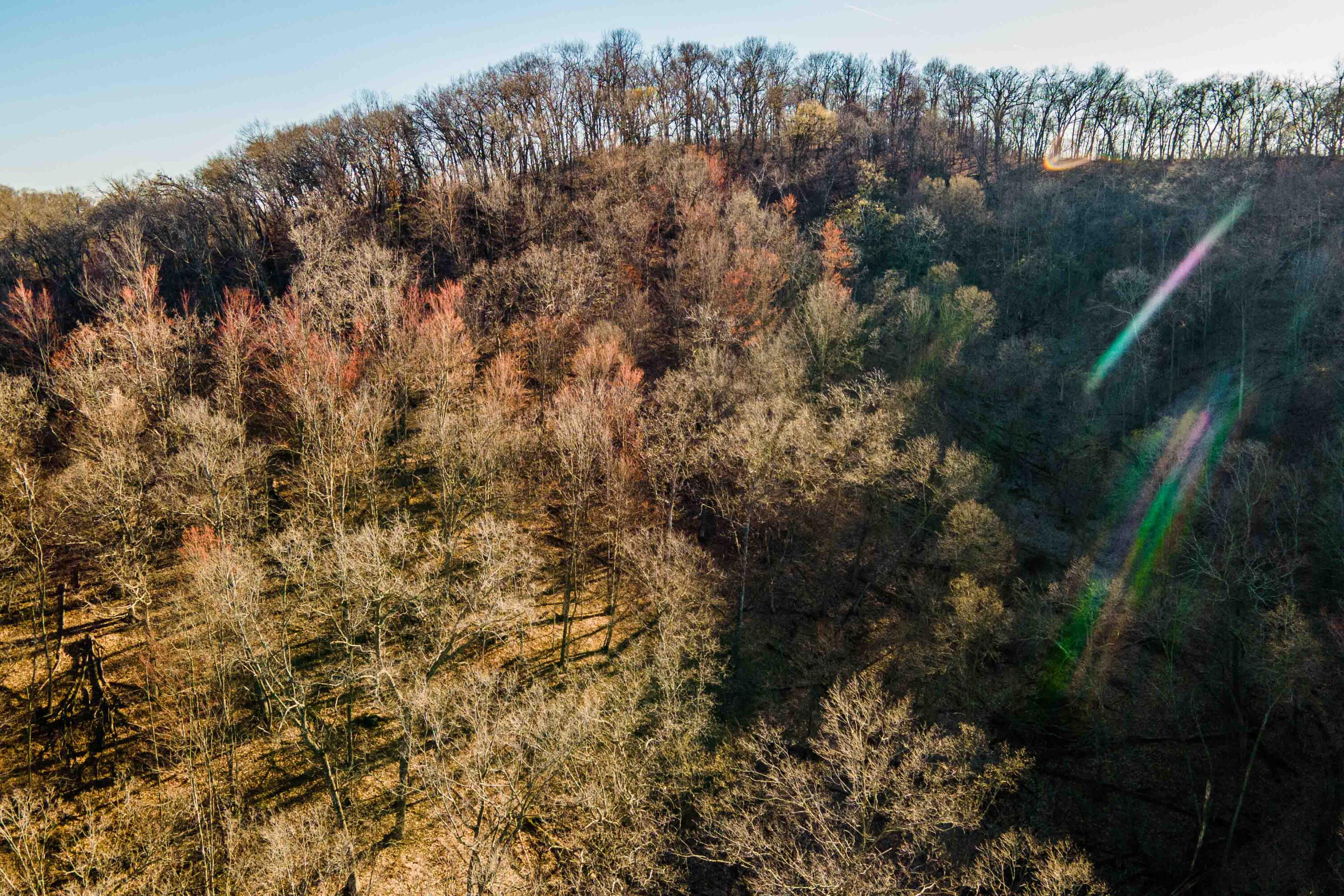 Lt0 Lt0 County Road Spring Green, WI 53588 - Photo 28 of 68 Iowa-County-WI-40-Acres-Land-For-Sale-28