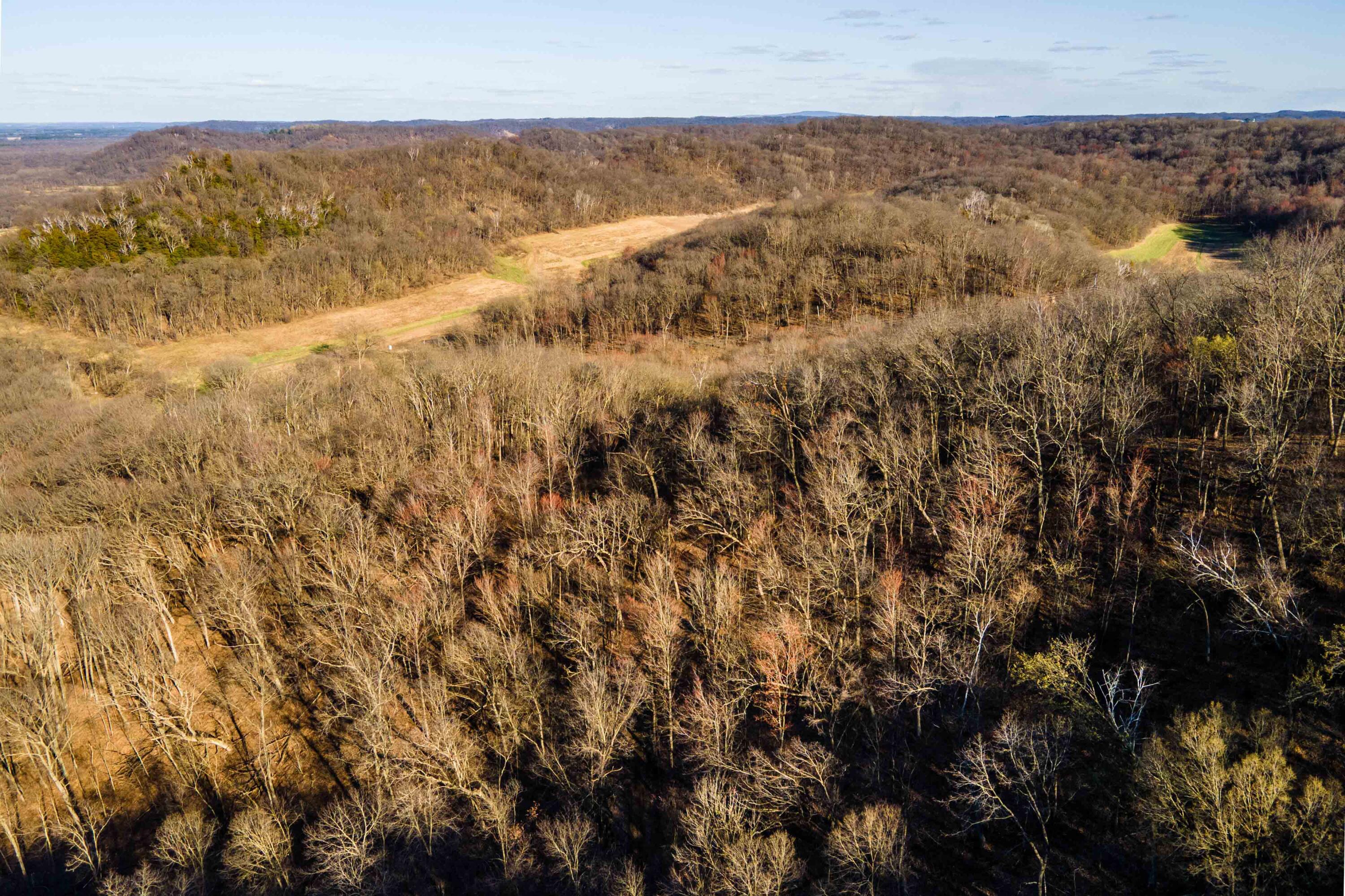 Lt0 Lt0 County Road Spring Green, WI 53588 - Photo 29 of 68 Iowa-County-WI-40-Acres-Land-For-Sale-29