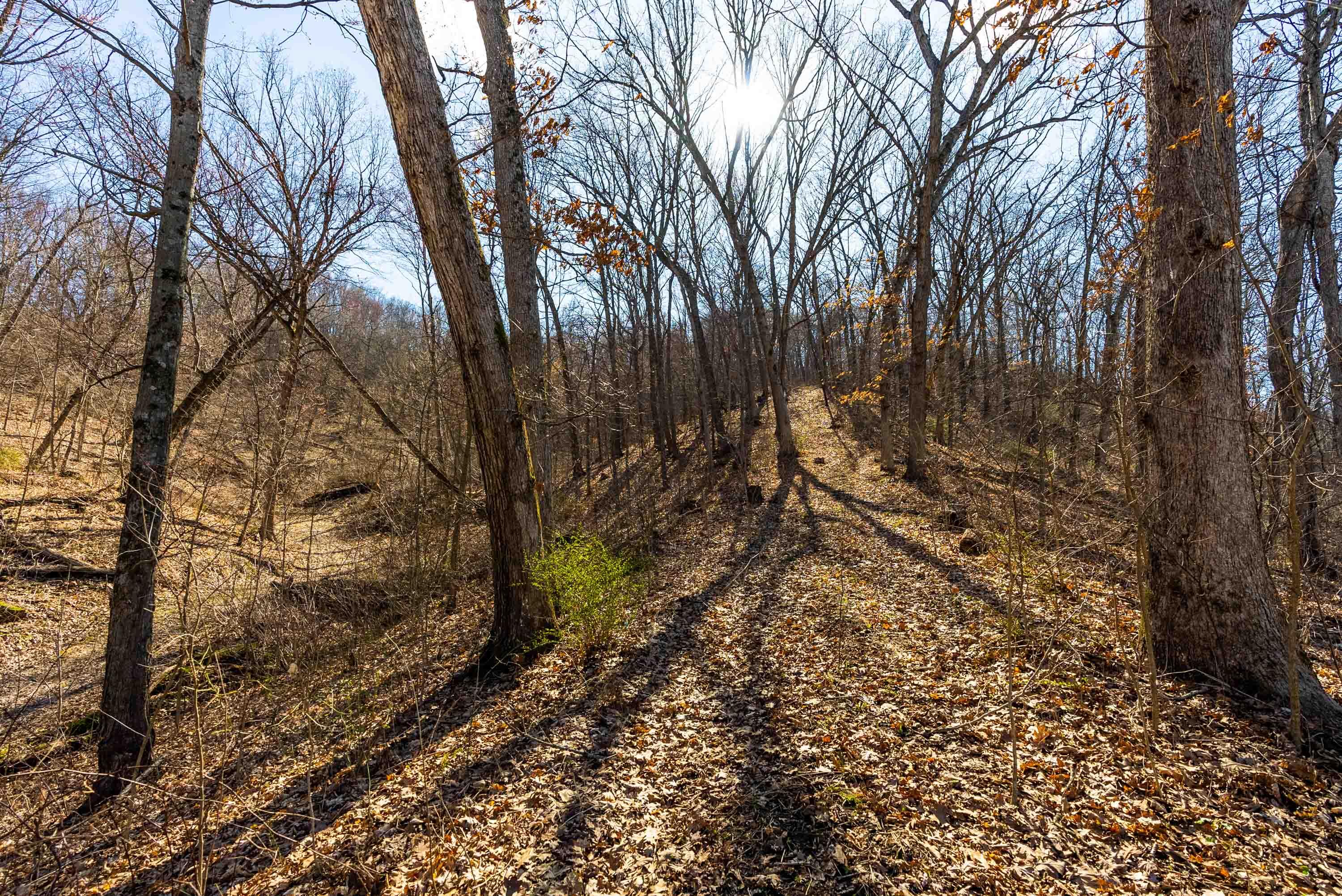 Lt0 Lt0 County Road Spring Green, WI 53588 - Photo 30 of 68 Iowa-County-WI-40-Acres-Land-For-Sale-30