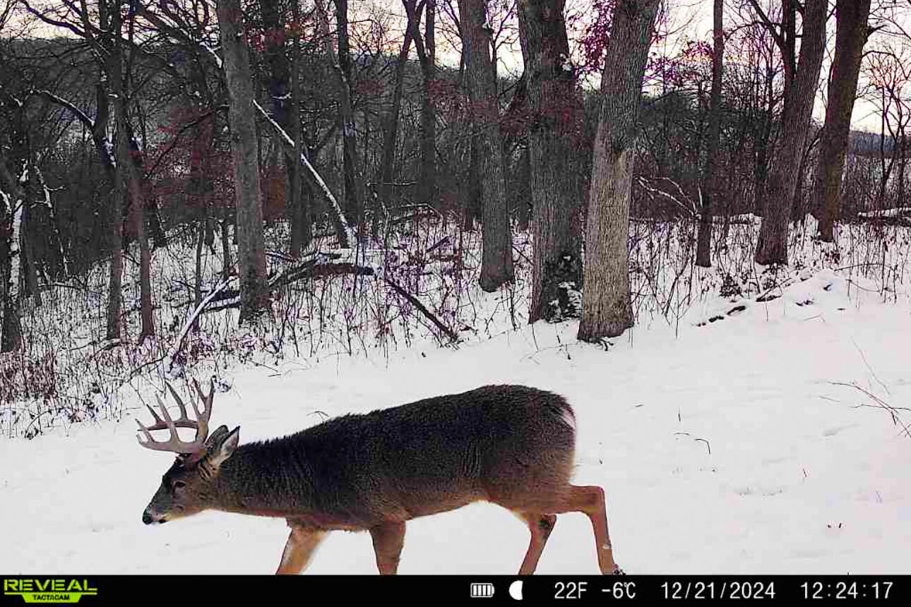 Lt0 Lt0 County Road Spring Green, WI 53588 - Photo 3 of 68 Iowa-County-WI-40-Acres-Land-For-Sale-5
