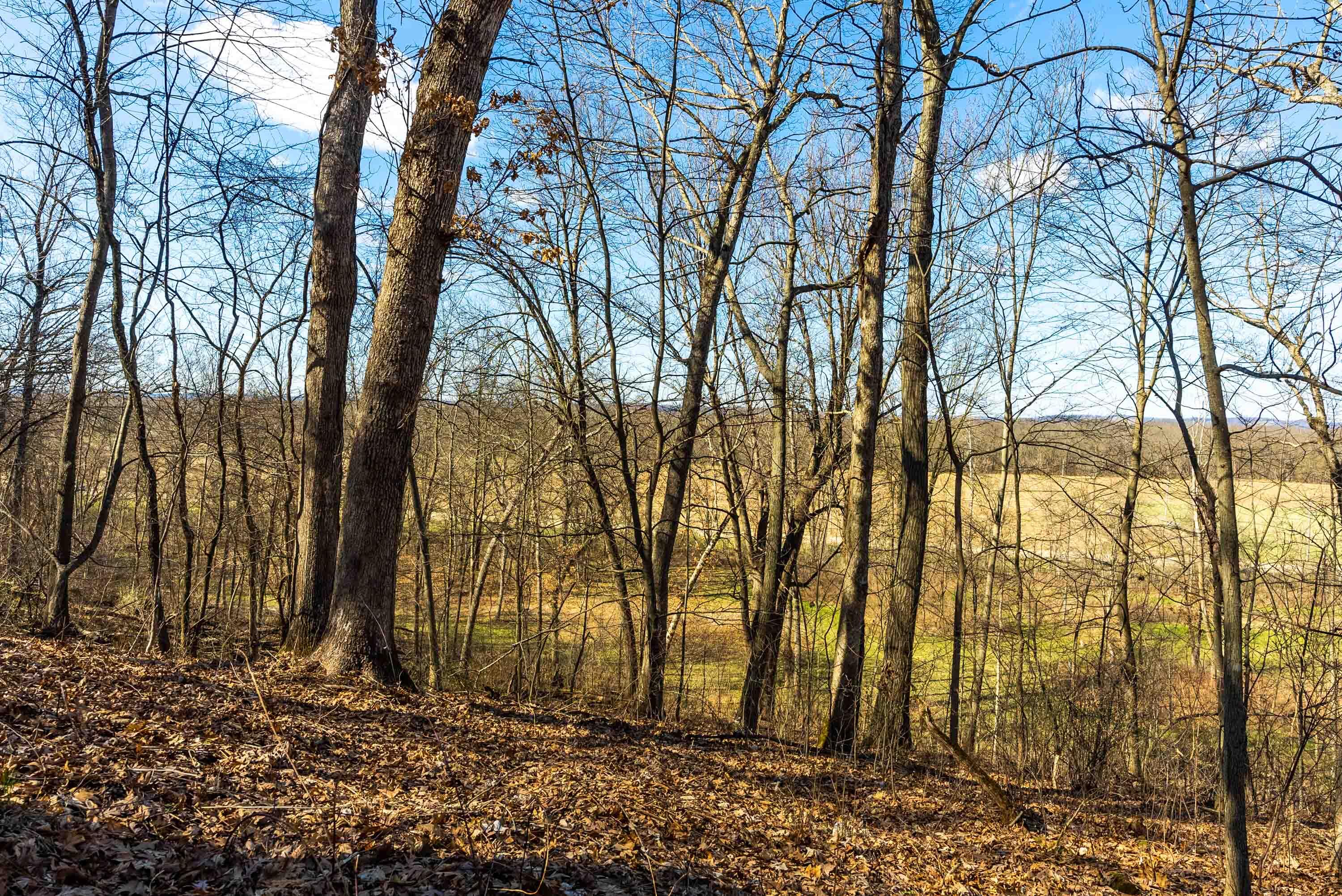Lt0 Lt0 County Road Spring Green, WI 53588 - Photo 31 of 68 Iowa-County-WI-40-Acres-Land-For-Sale-31