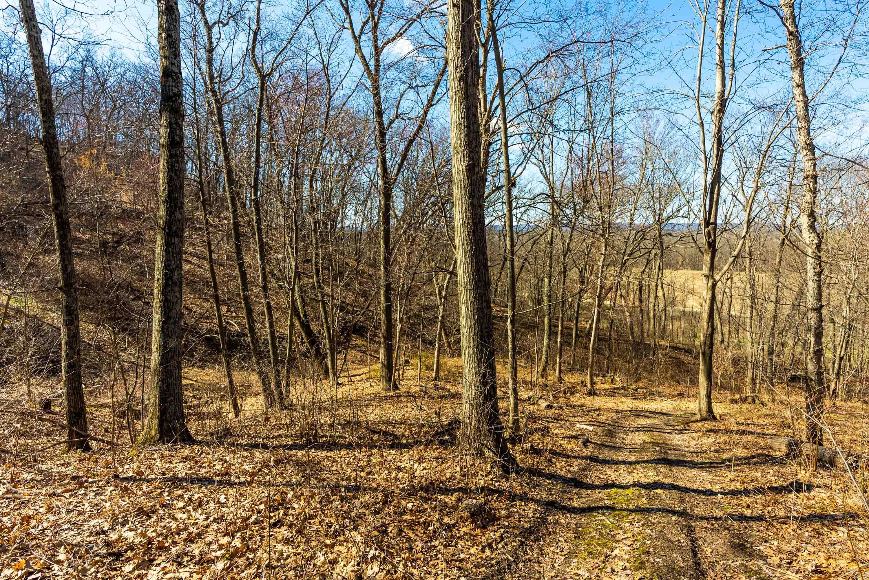 Lt0 Lt0 County Road Spring Green, WI 53588 - Photo 32 of 68 Iowa-County-WI-40-Acres-Land-For-Sale-32