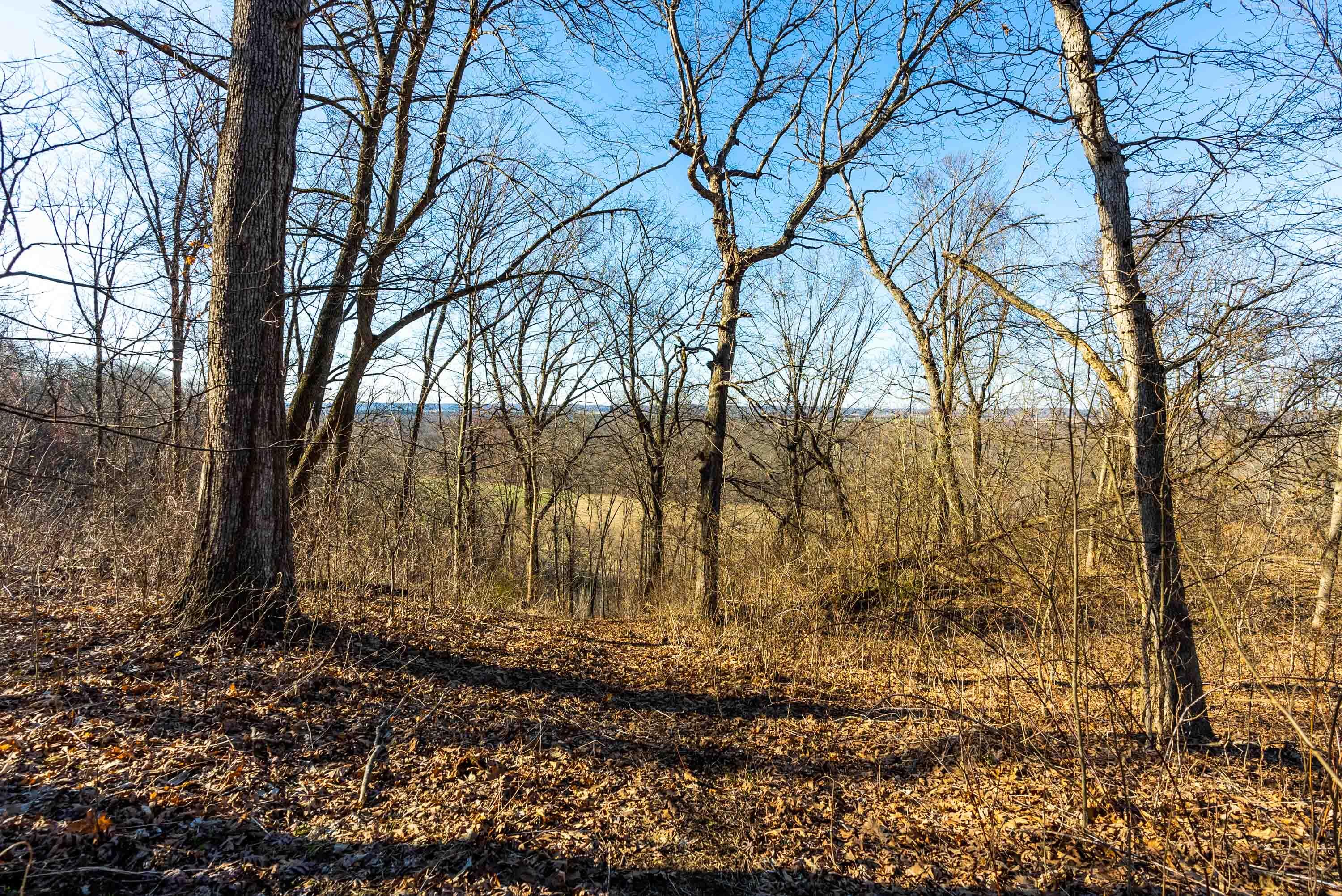 Lt0 Lt0 County Road Spring Green, WI 53588 - Photo 33 of 68 Iowa-County-WI-40-Acres-Land-For-Sale-33