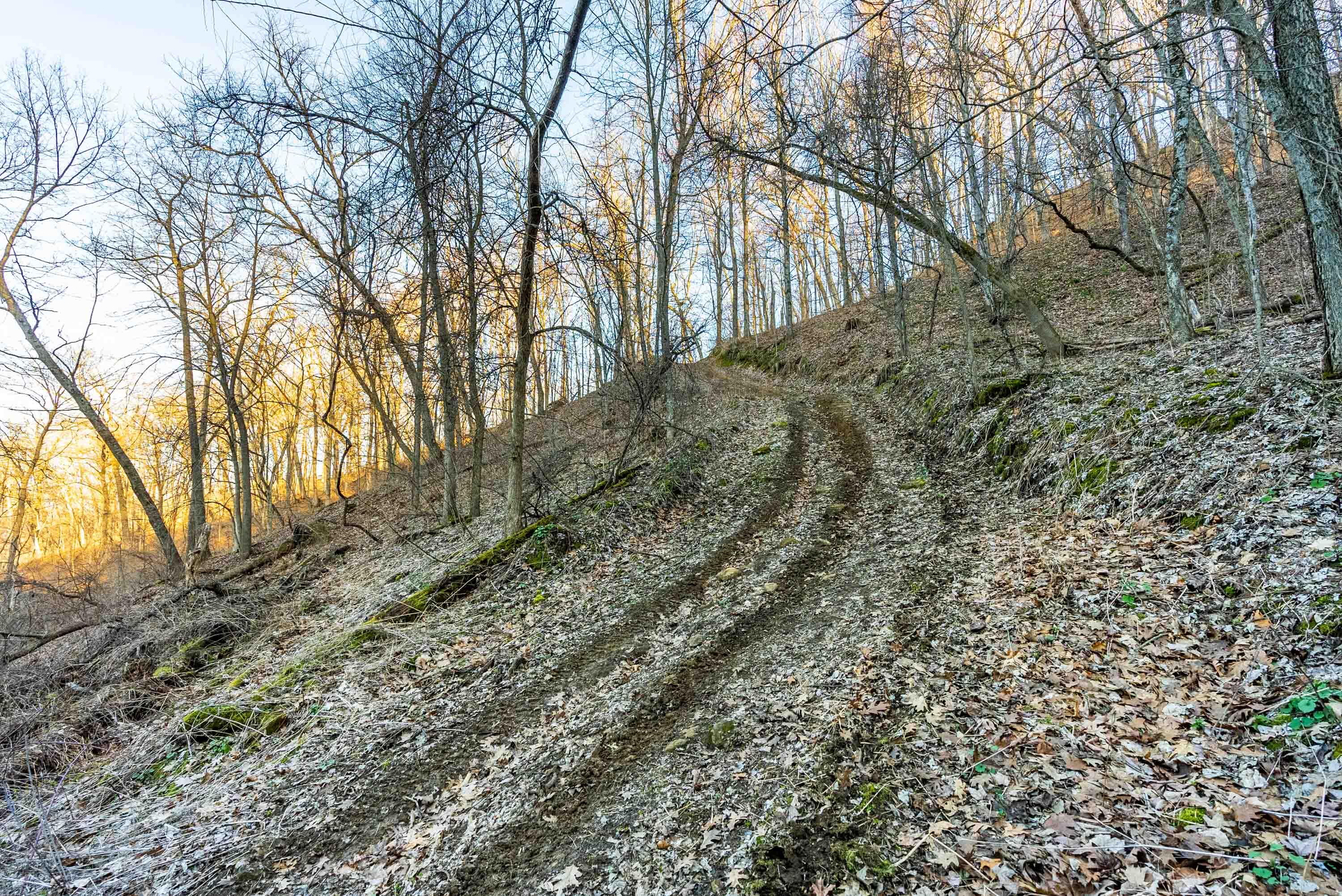 Lt0 Lt0 County Road Spring Green, WI 53588 - Photo 35 of 68 Iowa-County-WI-40-Acres-Land-For-Sale-36