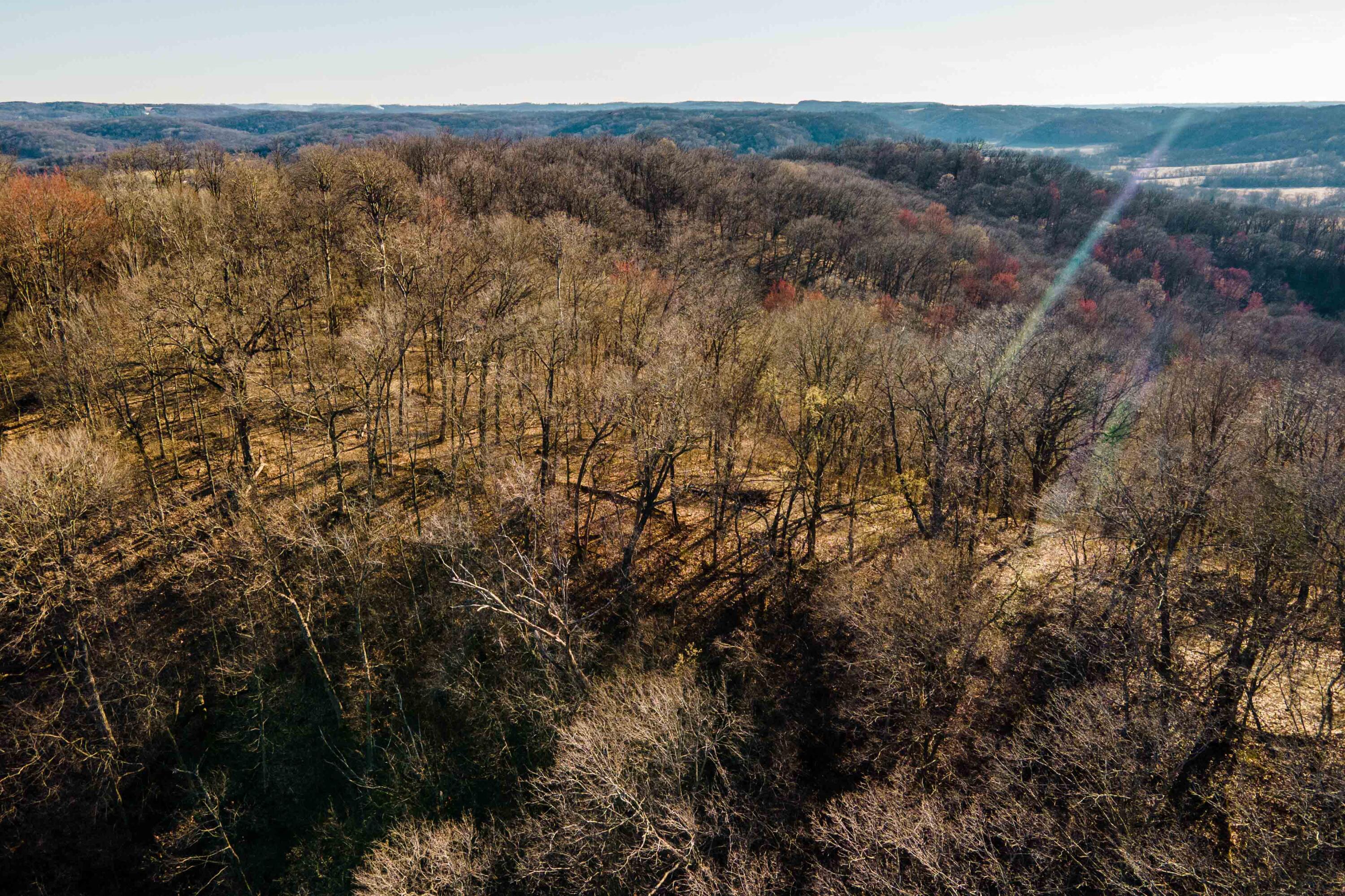 Lt0 Lt0 County Road Spring Green, WI 53588 - Photo 37 of 68 Iowa-County-WI-40-Acres-Land-For-Sale-38