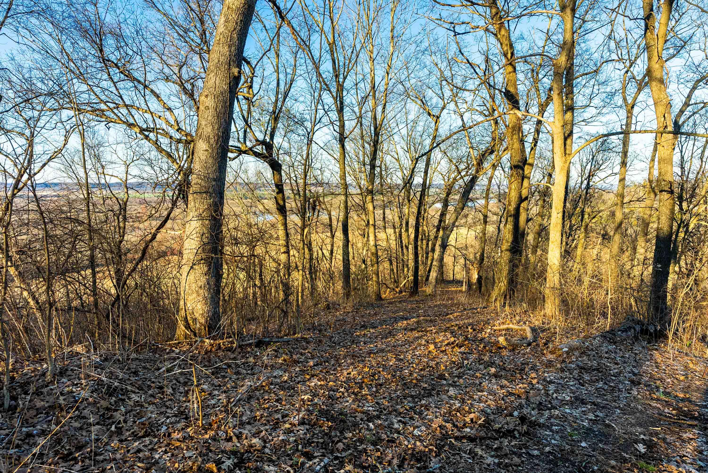 Lt0 Lt0 County Road Spring Green, WI 53588 - Photo 38 of 68 Iowa-County-WI-40-Acres-Land-For-Sale-40