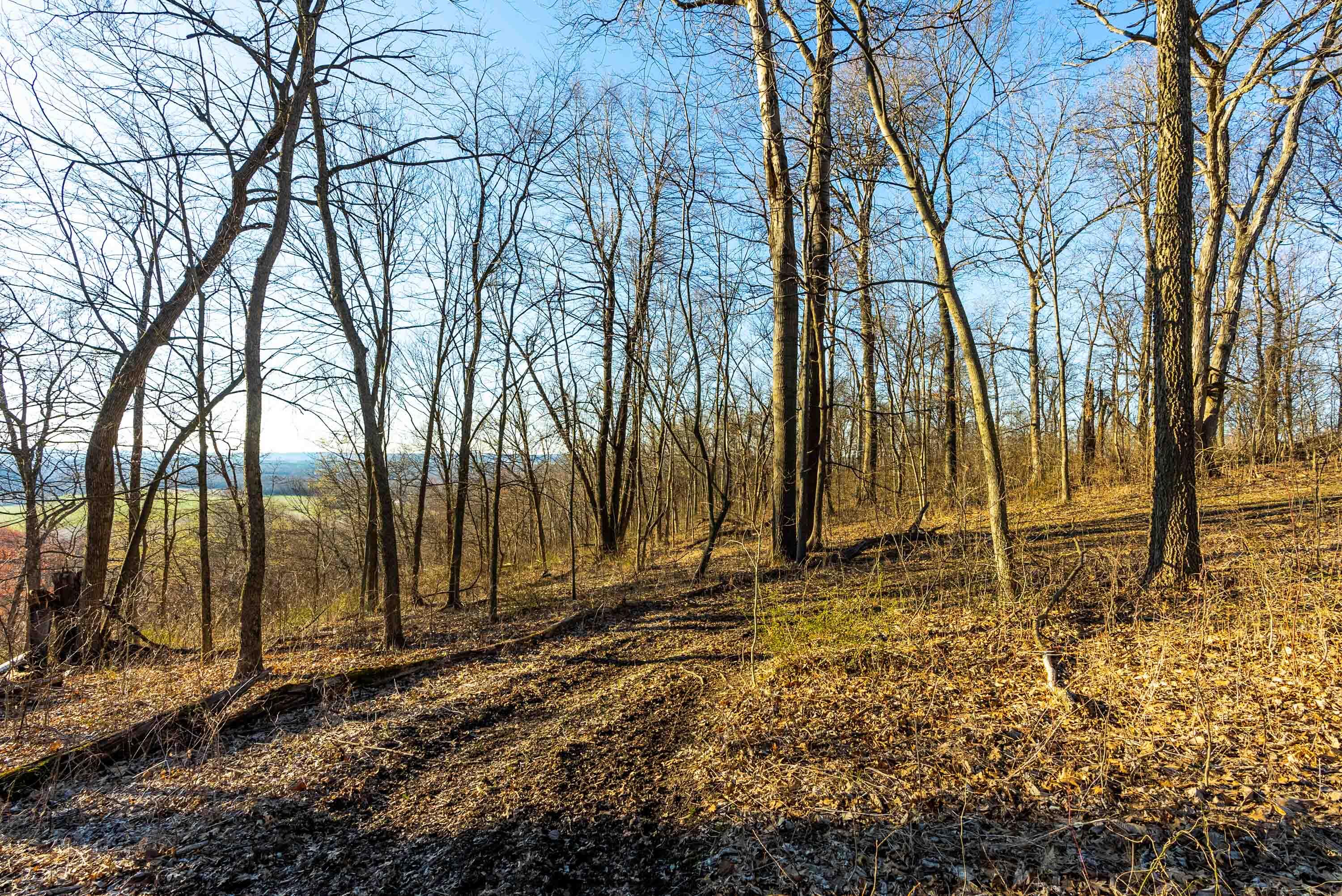 Lt0 Lt0 County Road Spring Green, WI 53588 - Photo 42 of 68 Iowa-County-WI-40-Acres-Land-For-Sale-44