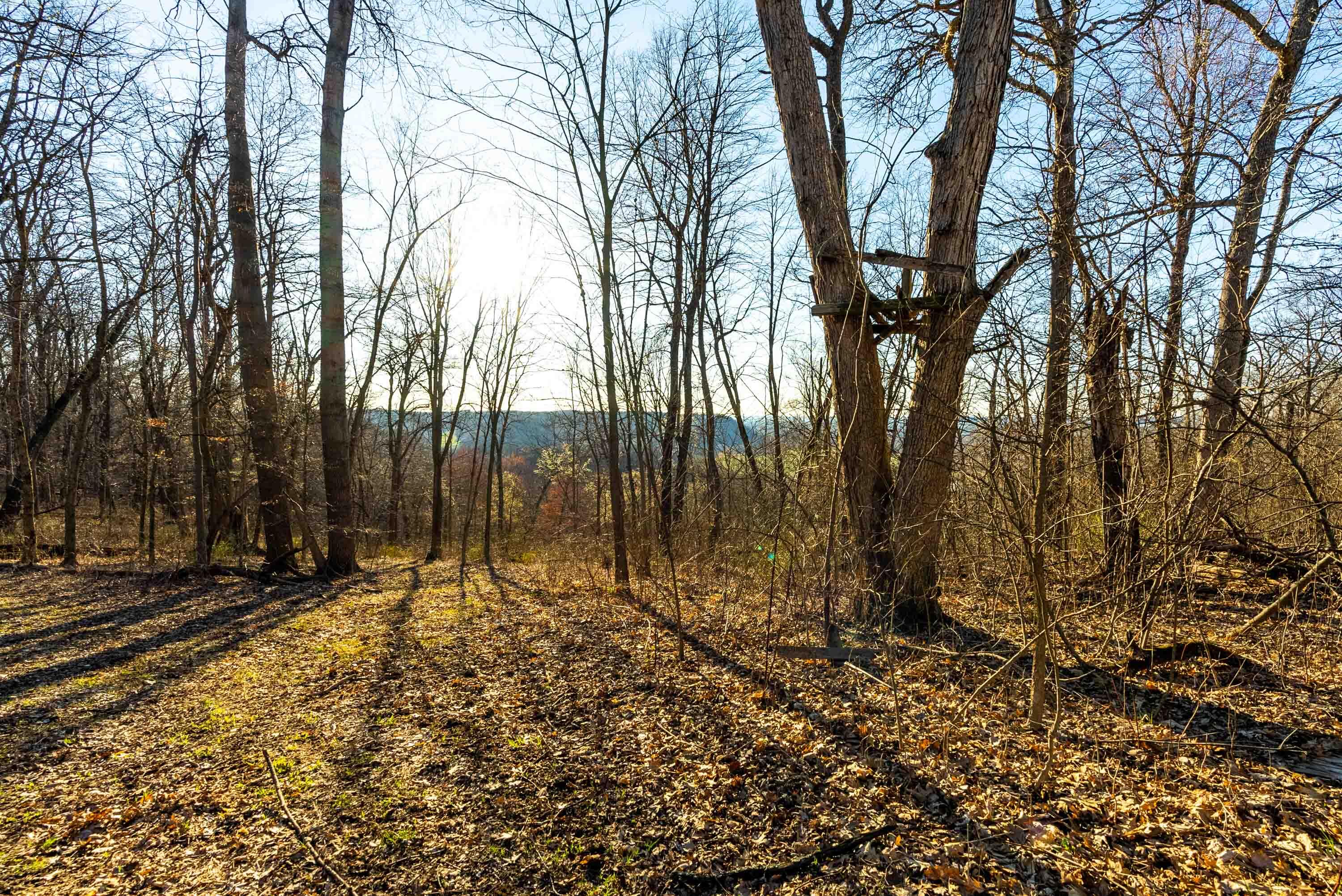 Lt0 Lt0 County Road Spring Green, WI 53588 - Photo 43 of 68 Iowa-County-WI-40-Acres-Land-For-Sale-45
