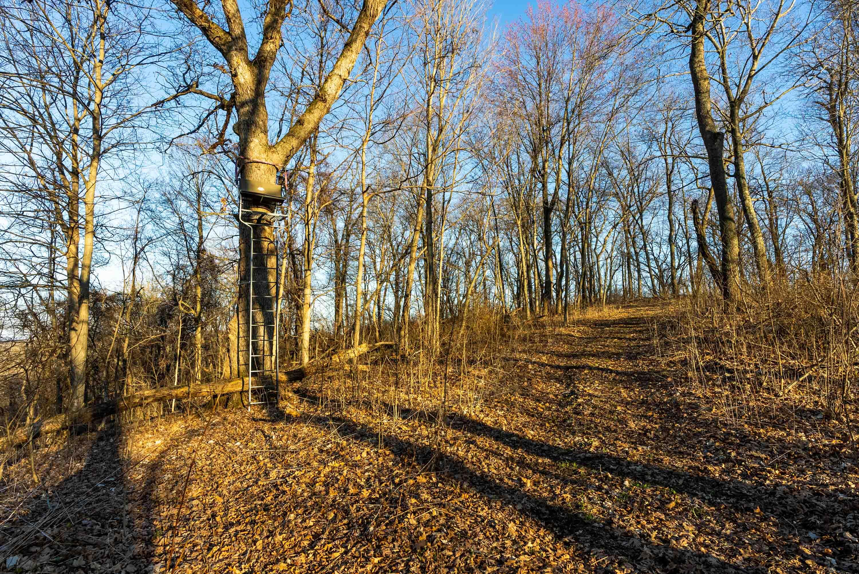 Lt0 Lt0 County Road Spring Green, WI 53588 - Photo 44 of 68 Iowa-County-WI-40-Acres-Land-For-Sale-46