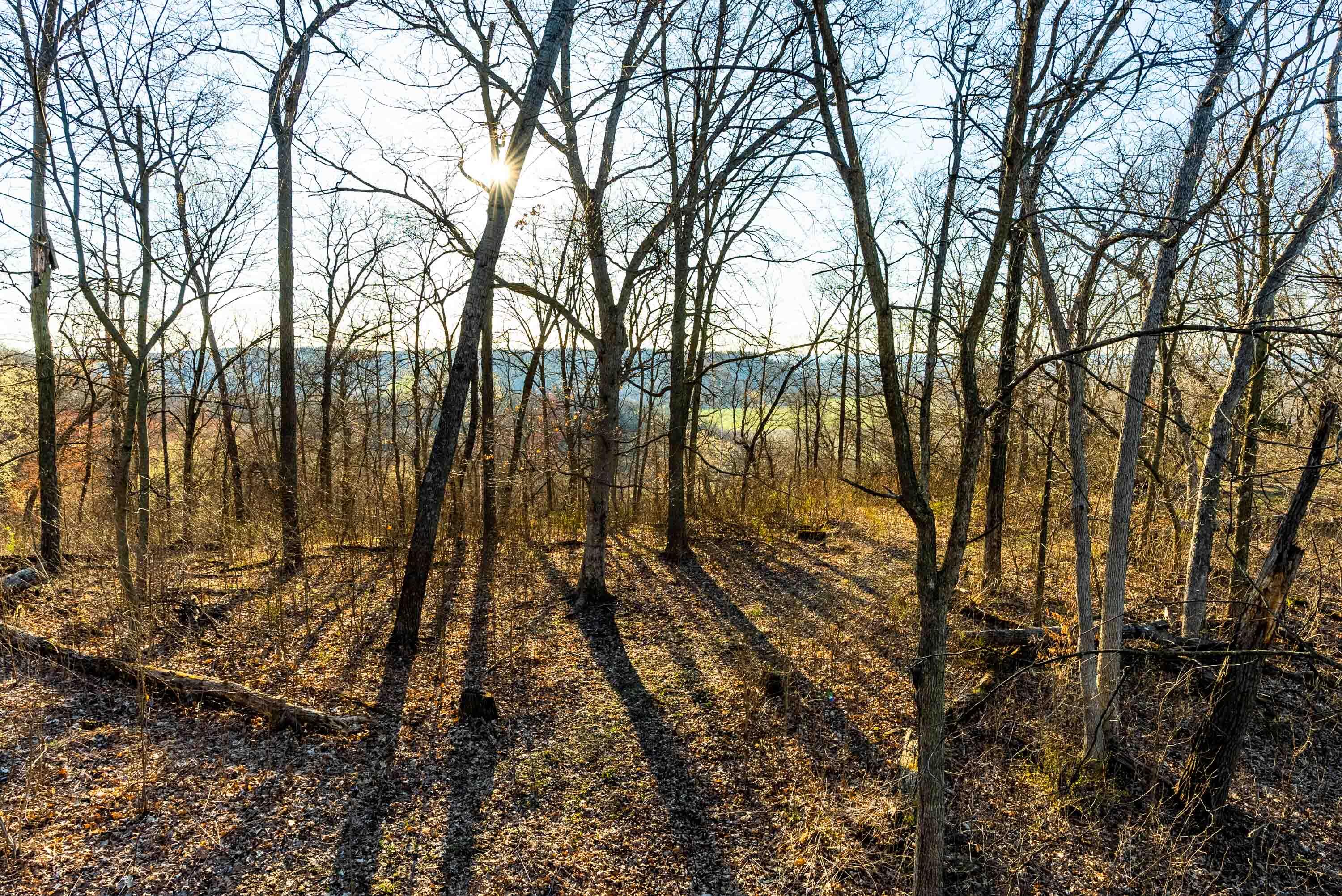 Lt0 Lt0 County Road Spring Green, WI 53588 - Photo 45 of 68 Iowa-County-WI-40-Acres-Land-For-Sale-47