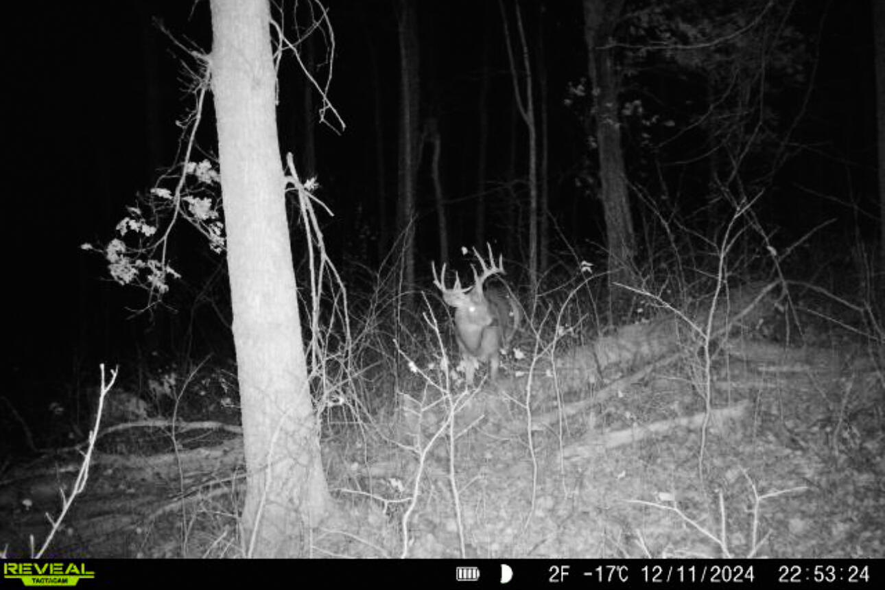 Lt0 Lt0 County Road Spring Green, WI 53588 - Photo 46 of 68 Iowa-County-WI-40-Acres-Land-For-Sale-48