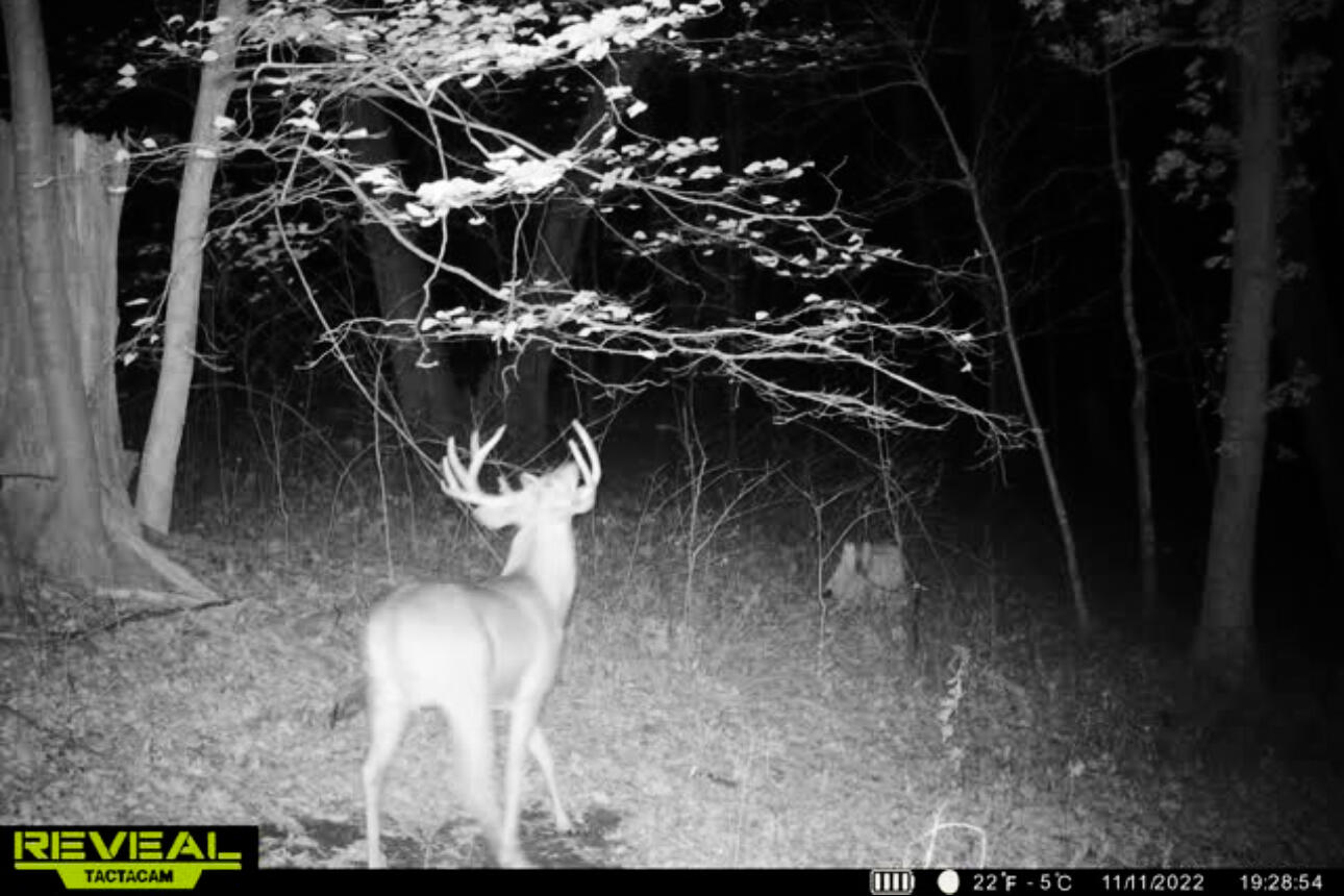 Lt0 Lt0 County Road Spring Green, WI 53588 - Photo 47 of 68 Iowa-County-WI-40-Acres-Land-For-Sale-49