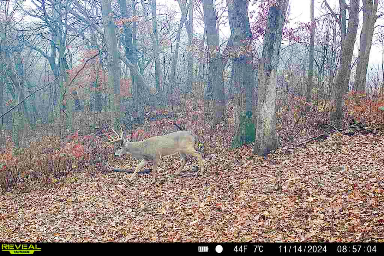 Lt0 Lt0 County Road Spring Green, WI 53588 - Photo 49 of 68 Iowa-County-WI-40-Acres-Land-For-Sale-51