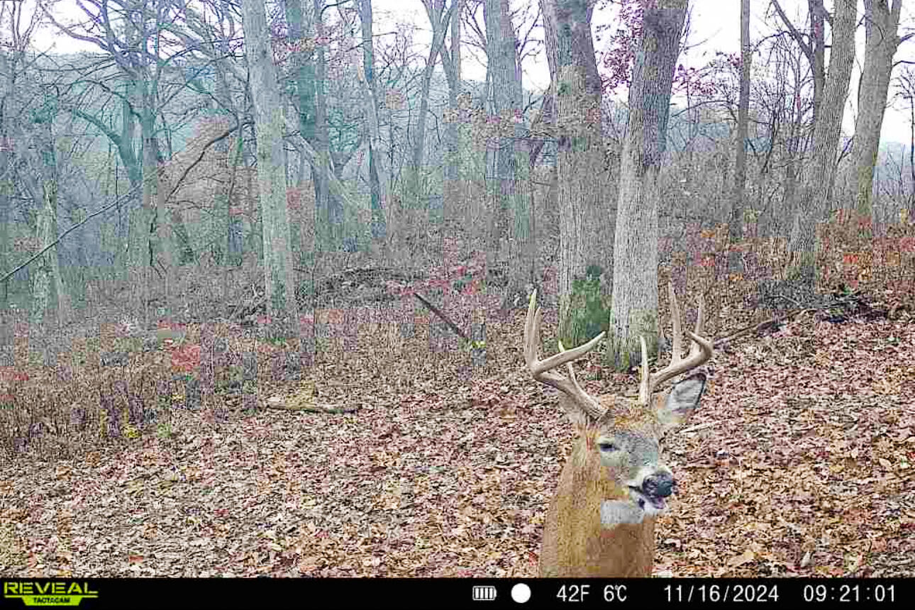 Lt0 Lt0 County Road Spring Green, WI 53588 - Photo 50 of 68 Iowa-County-WI-40-Acres-Land-For-Sale-52