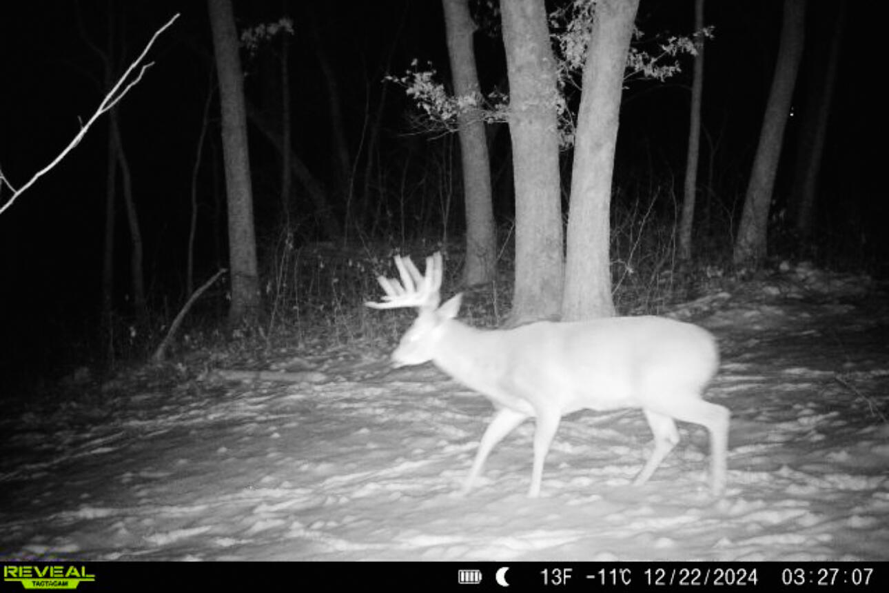 Lt0 Lt0 County Road Spring Green, WI 53588 - Photo 51 of 68 Iowa-County-WI-40-Acres-Land-For-Sale-53