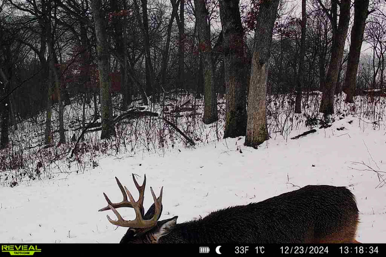 Lt0 Lt0 County Road Spring Green, WI 53588 - Photo 52 of 68 Iowa-County-WI-40-Acres-Land-For-Sale-54
