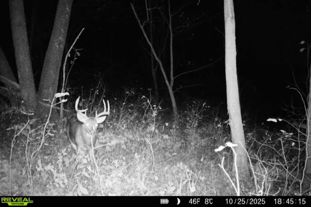 Lt0 Lt0 County Road Spring Green, WI 53588 - Photo 53 of 68 Iowa-County-WI-40-Acres-Land-For-Sale-55