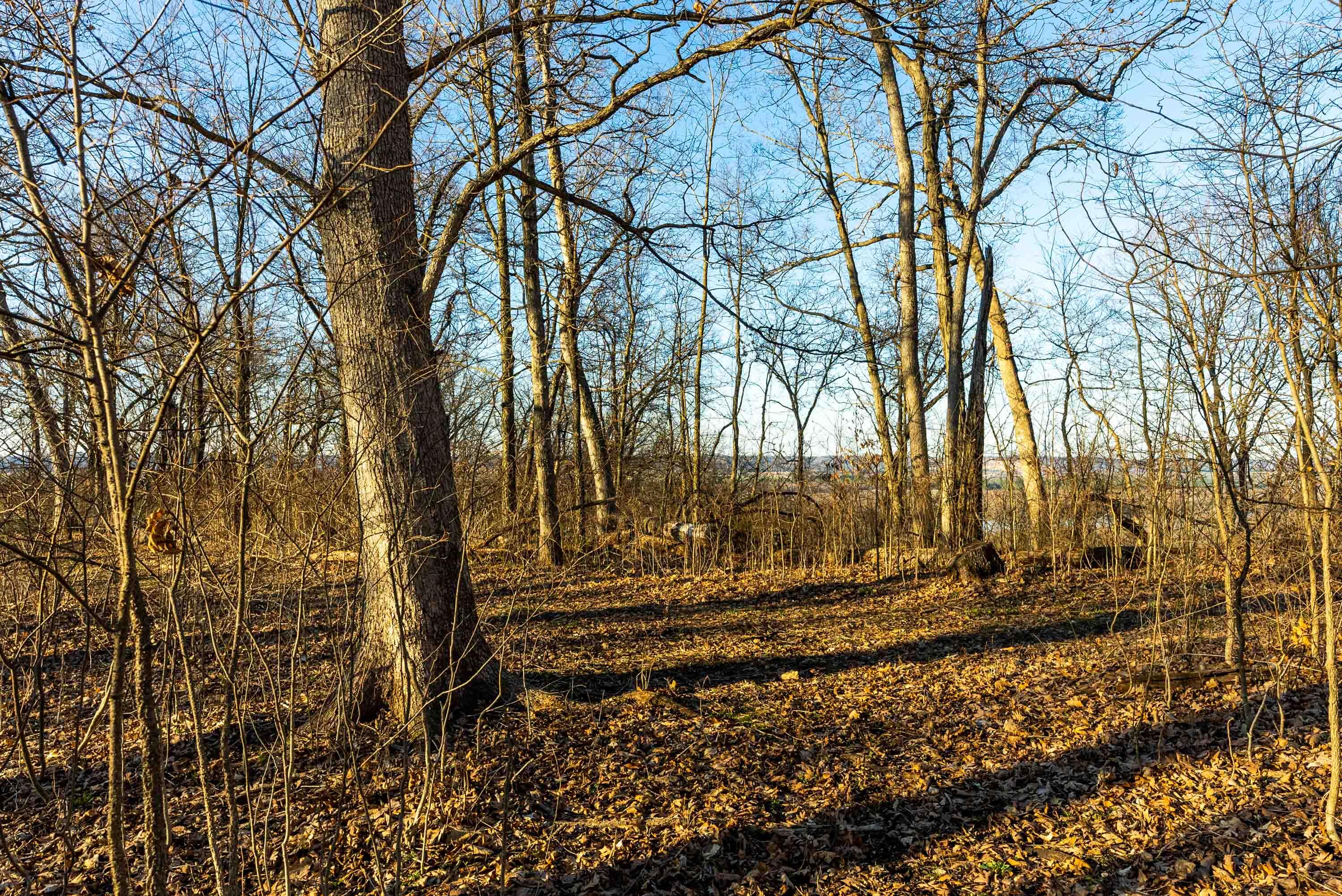 Lt0 Lt0 County Road Spring Green, WI 53588 - Photo 54 of 68 Iowa-County-WI-40-Acres-Land-For-Sale-56