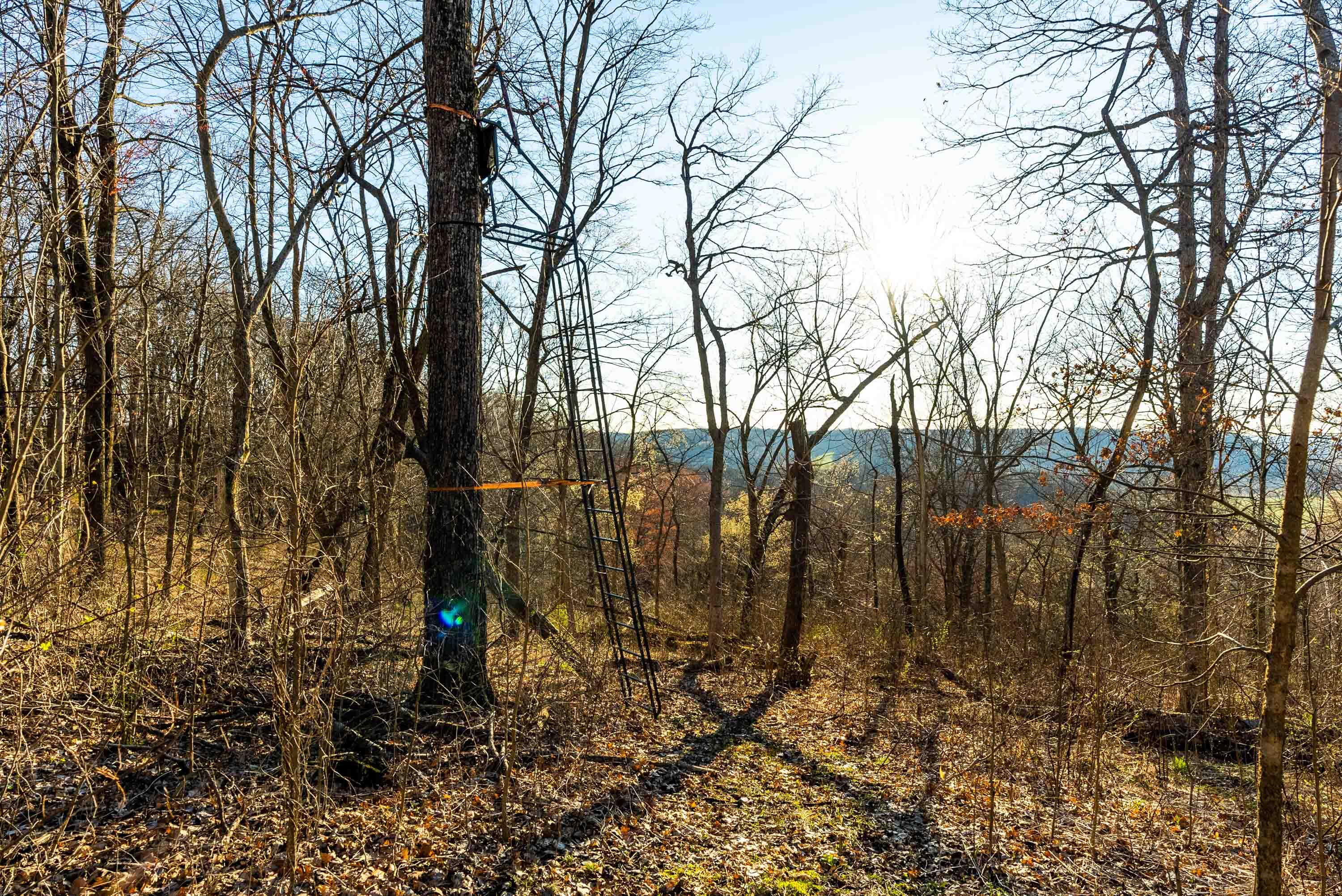 Lt0 Lt0 County Road Spring Green, WI 53588 - Photo 55 of 68 Iowa-County-WI-40-Acres-Land-For-Sale-57