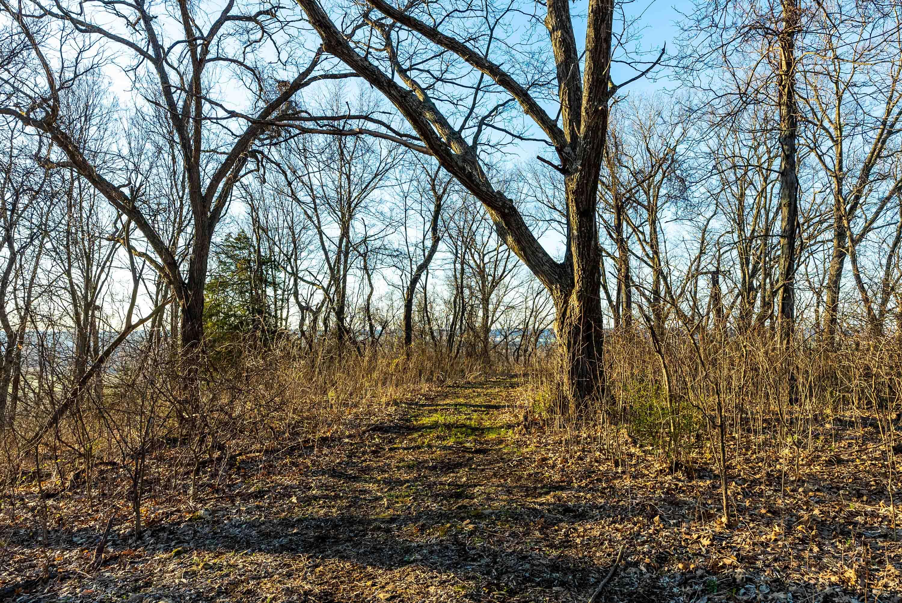 Lt0 Lt0 County Road Spring Green, WI 53588 - Photo 56 of 68 Iowa-County-WI-40-Acres-Land-For-Sale-58