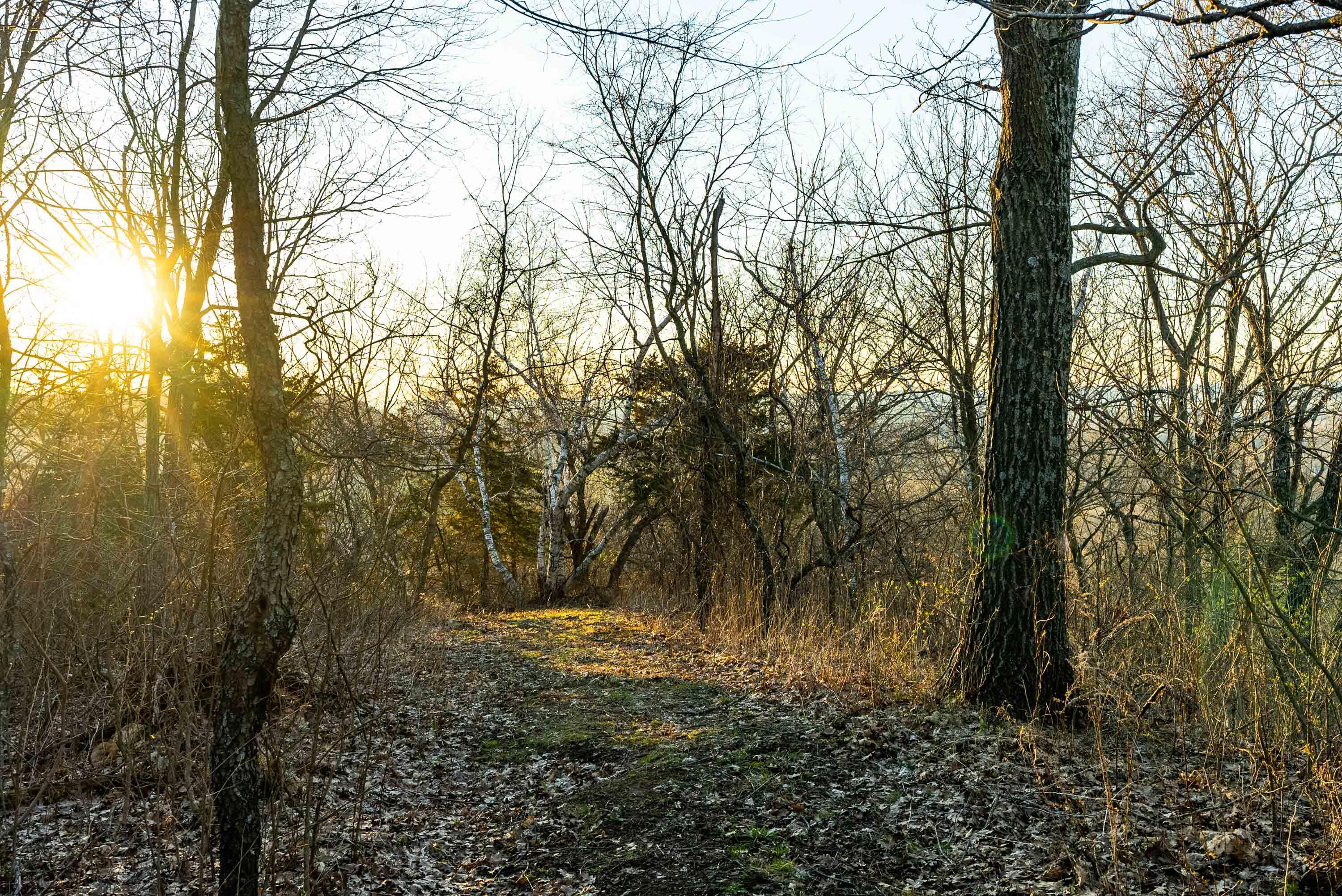 Lt0 Lt0 County Road Spring Green, WI 53588 - Photo 58 of 68 Iowa-County-WI-40-Acres-Land-For-Sale-60