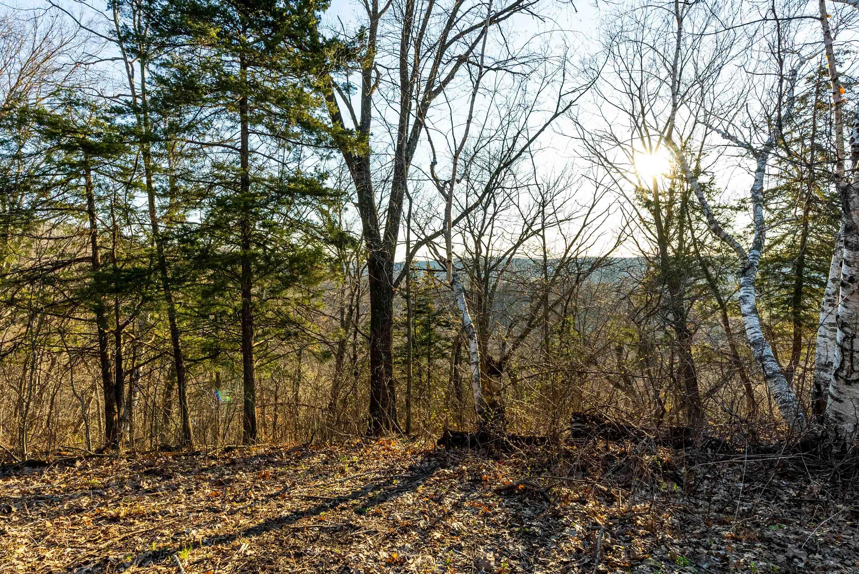 Lt0 Lt0 County Road Spring Green, WI 53588 - Photo 59 of 68 Iowa-County-WI-40-Acres-Land-For-Sale-61