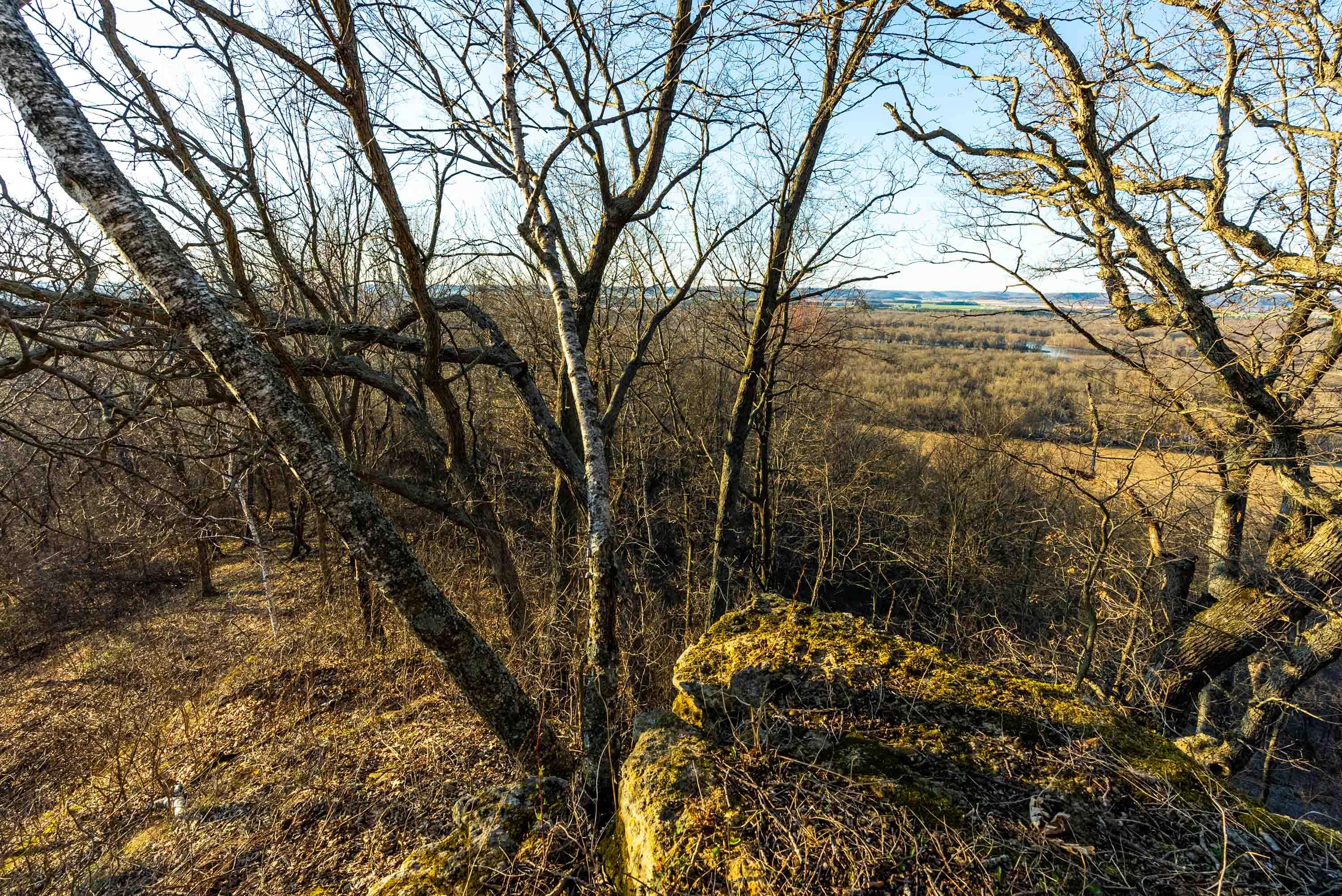 Lt0 Lt0 County Road Spring Green, WI 53588 - Photo 60 of 68 Iowa-County-WI-40-Acres-Land-For-Sale-62