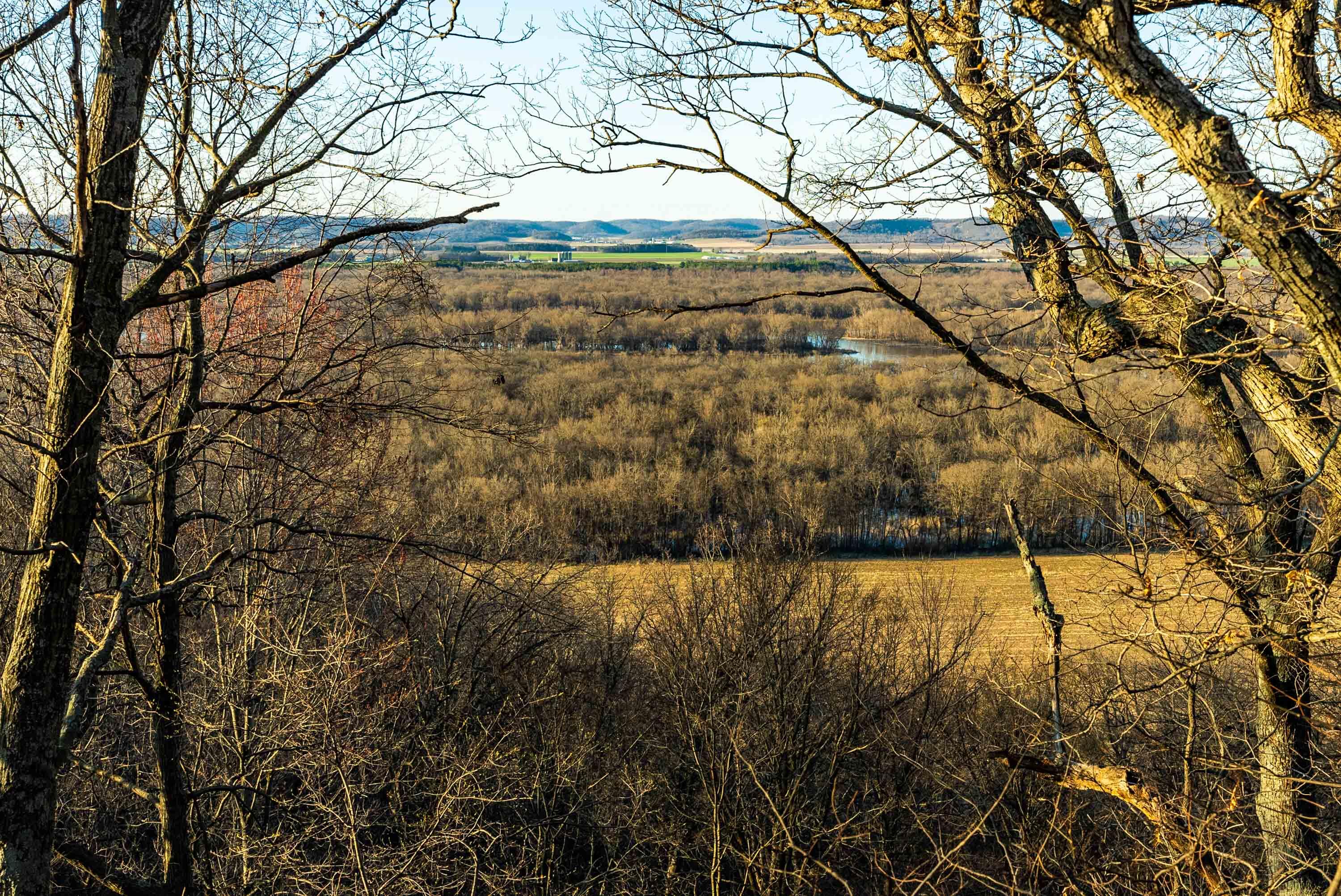Lt0 Lt0 County Road Spring Green, WI 53588 - Photo 61 of 68 Iowa-County-WI-40-Acres-Land-For-Sale-63