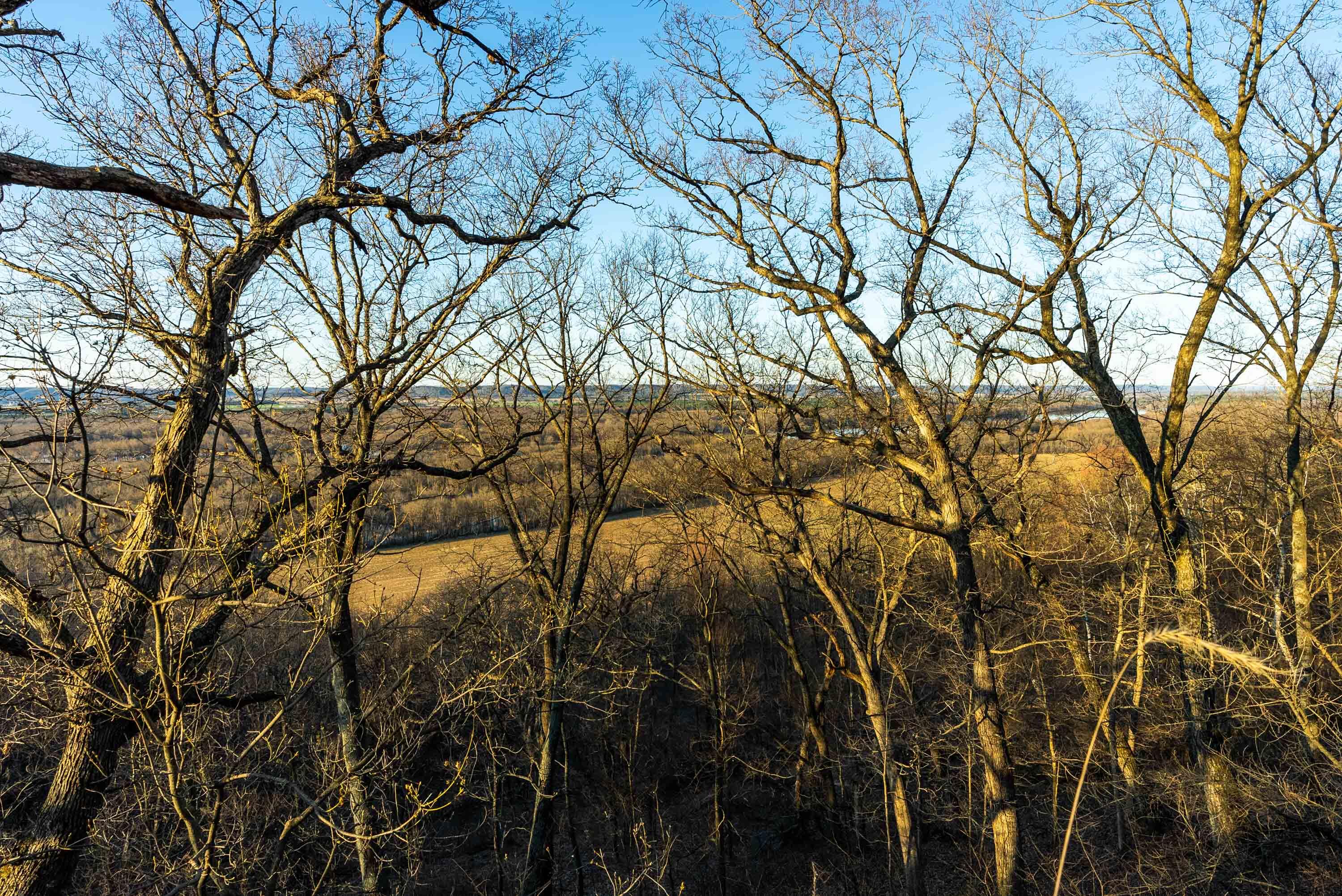 Lt0 Lt0 County Road Spring Green, WI 53588 - Photo 62 of 68 Iowa-County-WI-40-Acres-Land-For-Sale-64