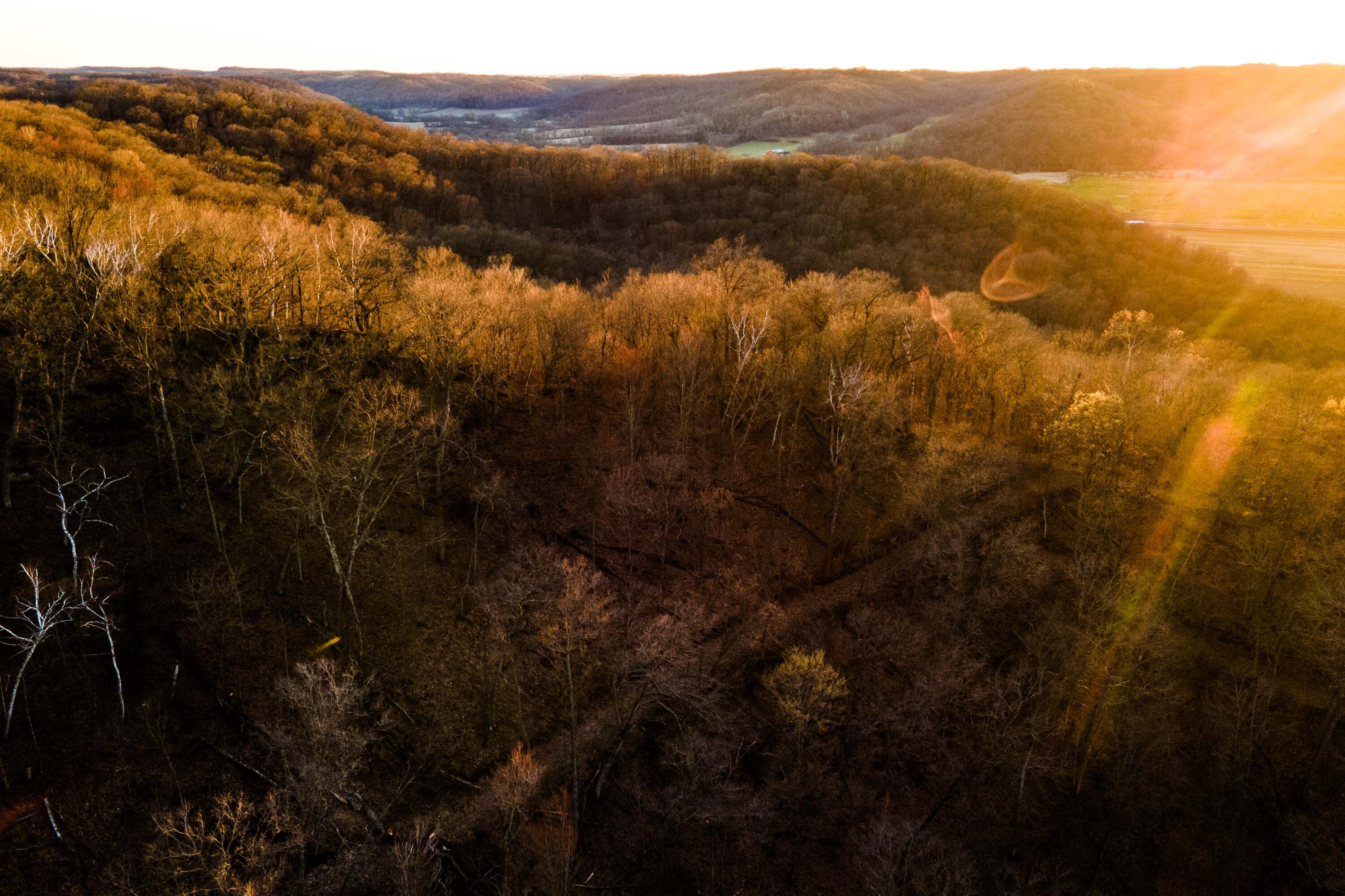 Lt0 Lt0 County Road Spring Green, WI 53588 - Photo 66 of 68 Iowa-County-WI-40-Acres-Land-For-Sale-69