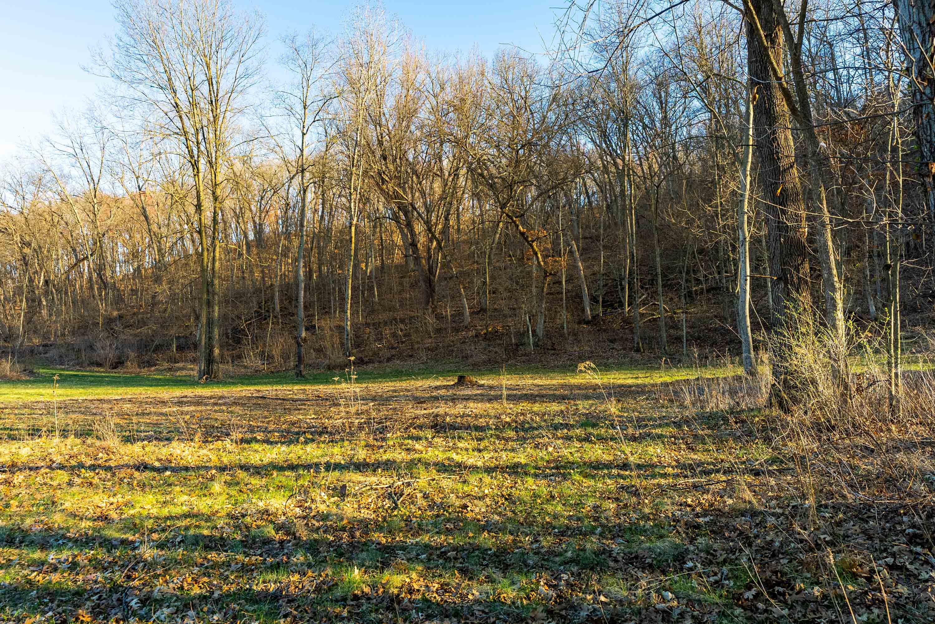 Lt0 Lt0 County Road Spring Green, WI 53588 - Photo 8 of 68 Iowa-County-WI-40-Acres-Land-For-Sale-8