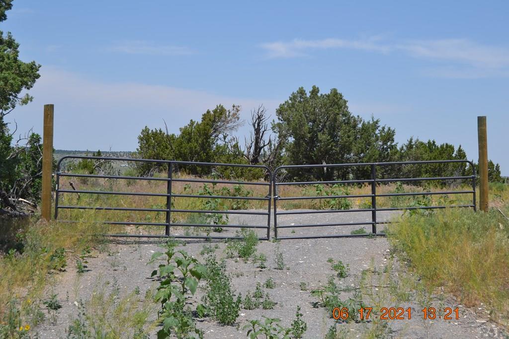Lot 100 Ghost River Ranch Rye, CO 81069 - Photo 33 of 35