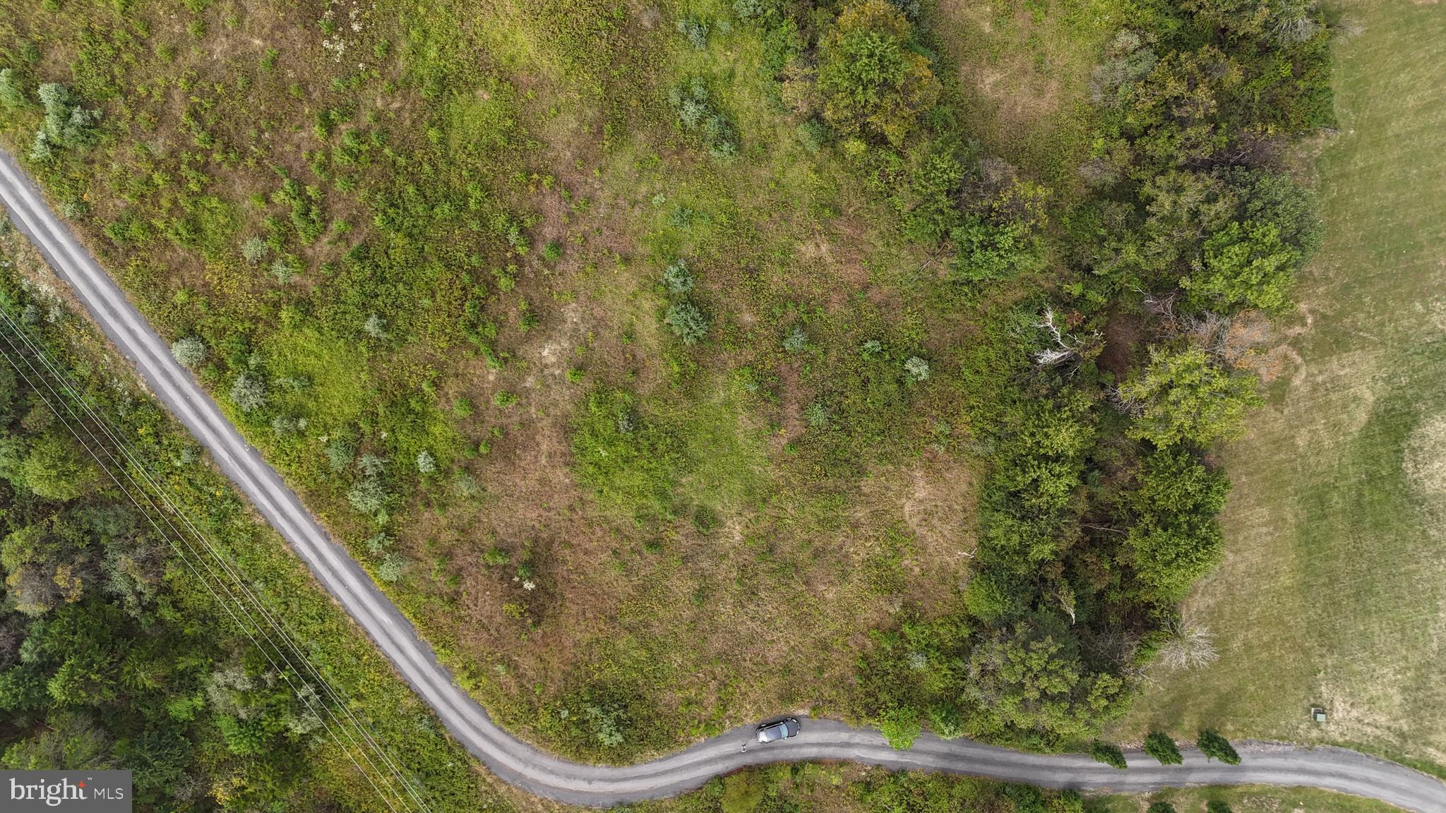 Delta Diamond Lane Leesburg, VA 20175 - Photo 1 of 17 a view of a yard