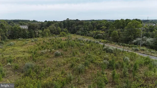 an aerial view of mountain with trees