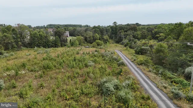 a view of a forest from a window