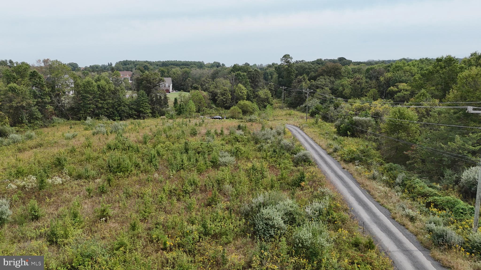 Delta Diamond Lane Leesburg, VA 20175 - Photo 13 of 17 a view of a forest from a window