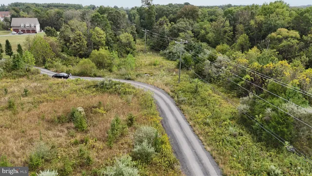 a view of a yard with a plant