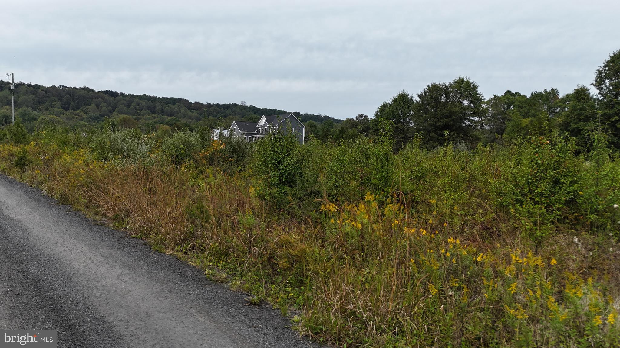 Delta Diamond Lane Leesburg, VA 20175 - Photo 16 of 17 a view of a city with lush green forest